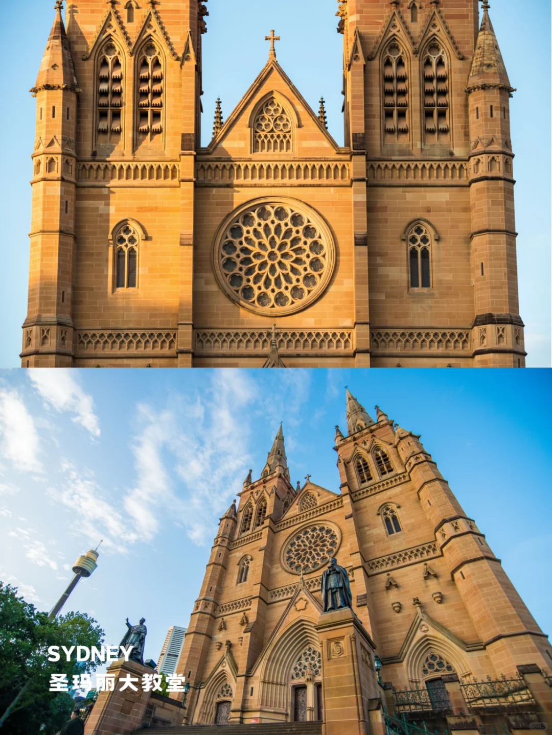 终于有人把悉尼景点地图画清楚了❗️