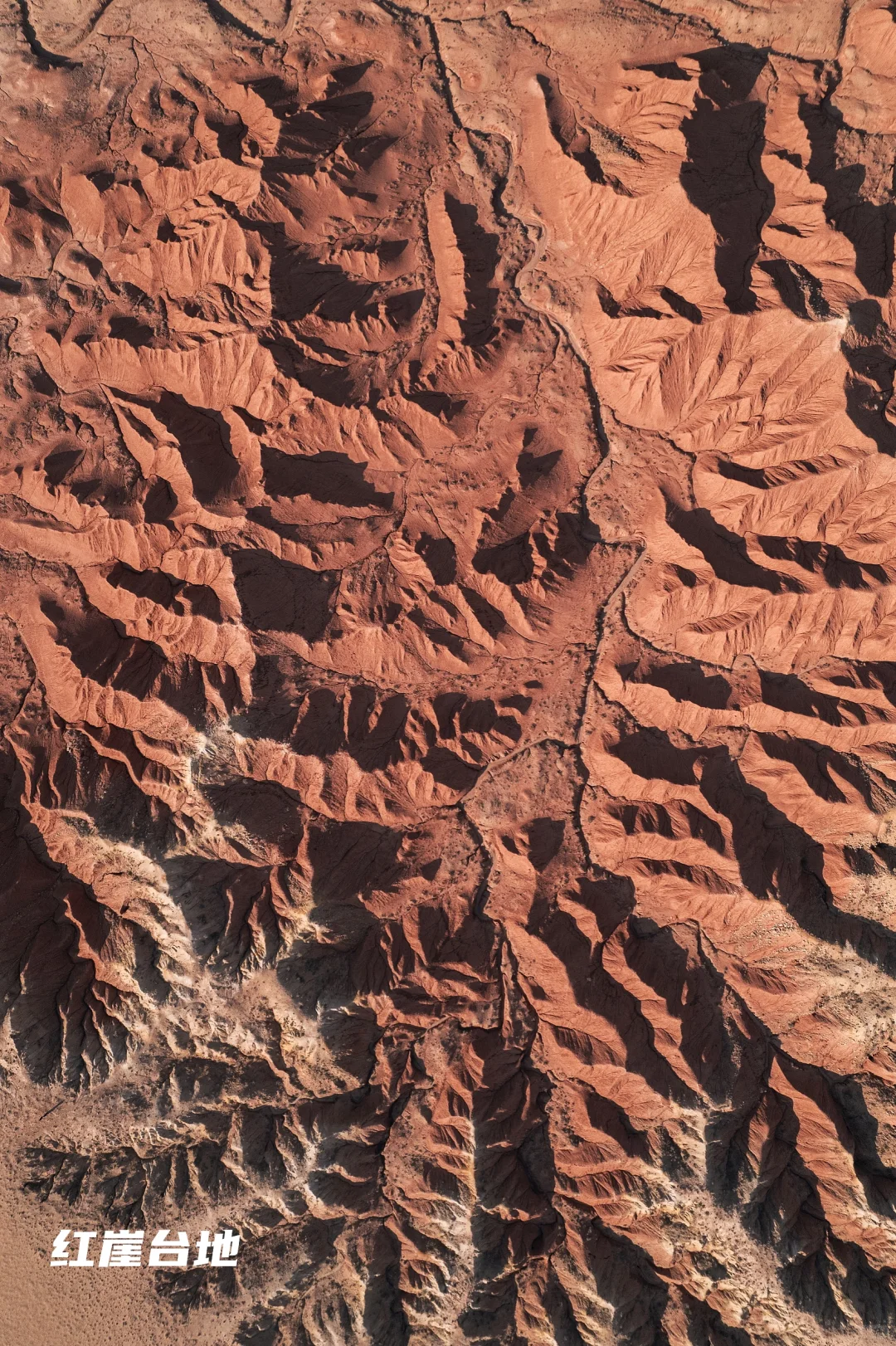 看了再见爱人4 想立刻飞去内蒙古 攻略有✅