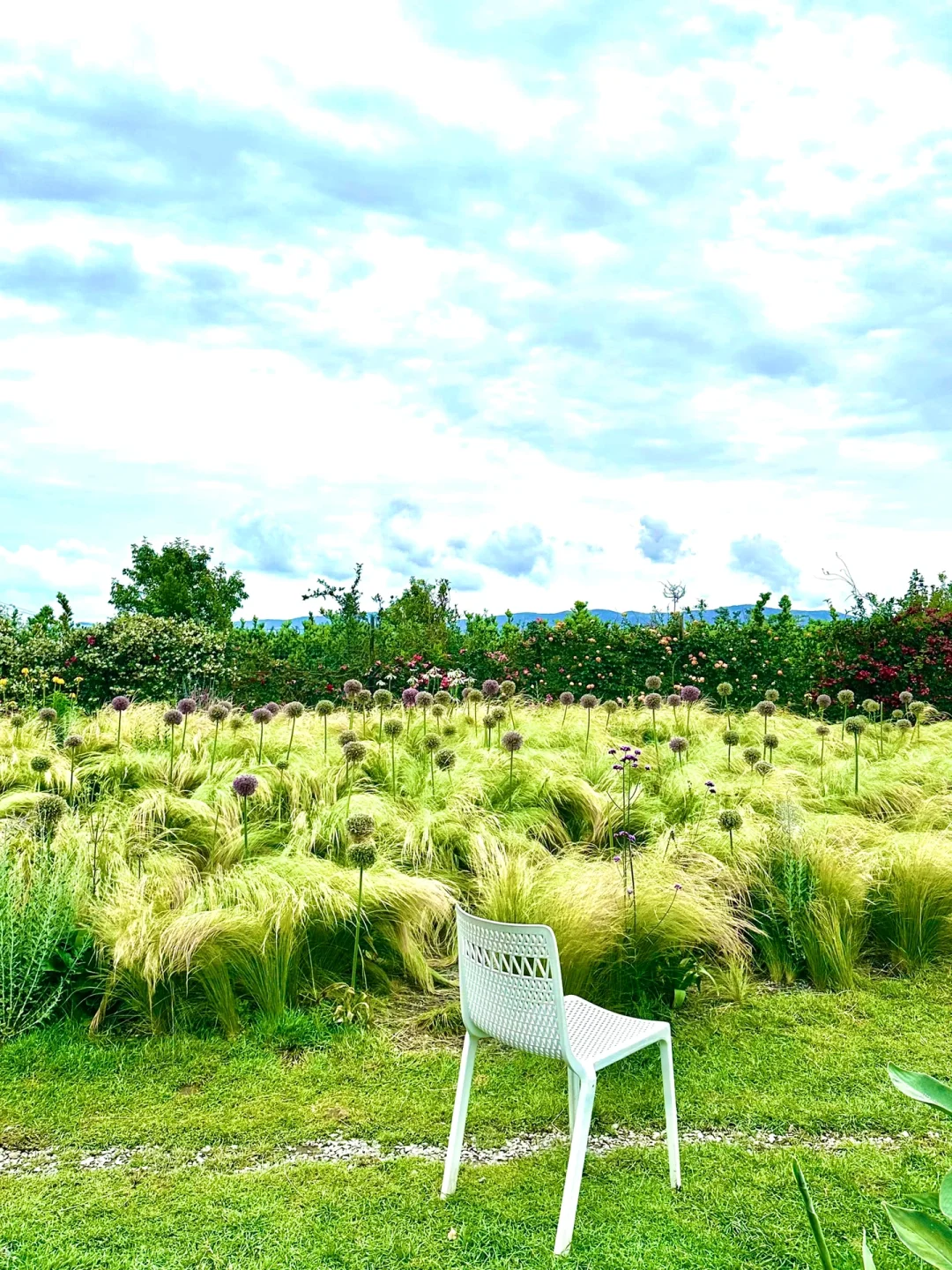 往返大理9次，总结了10个小众景点打卡地‼️