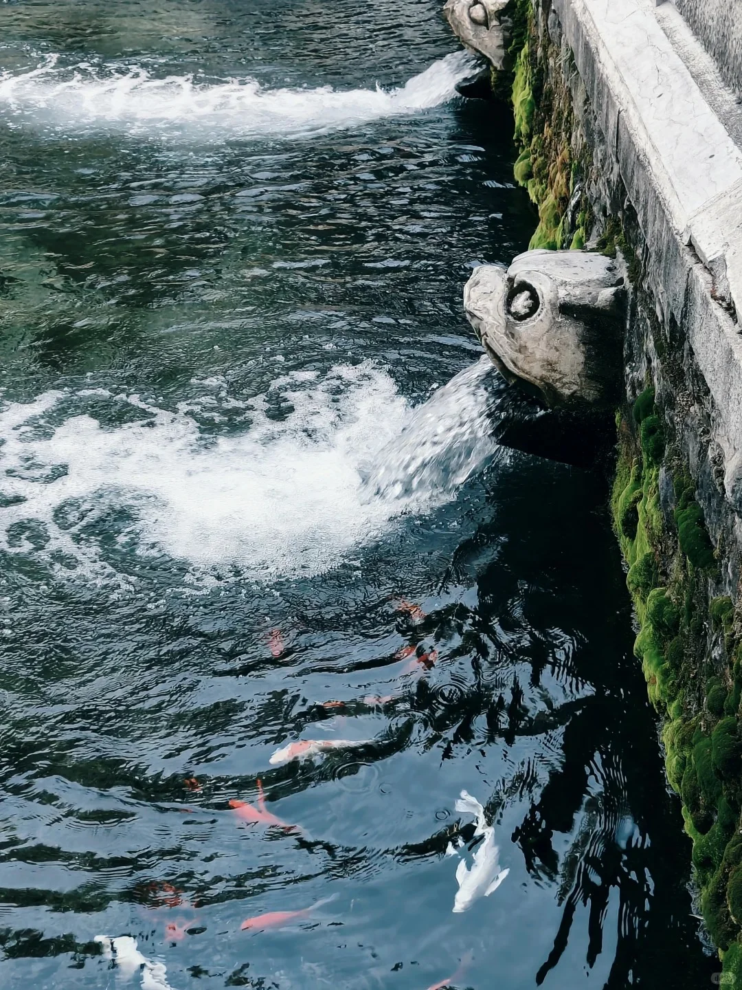 济南必逛的九大景点🔥附旅行攻略📚
