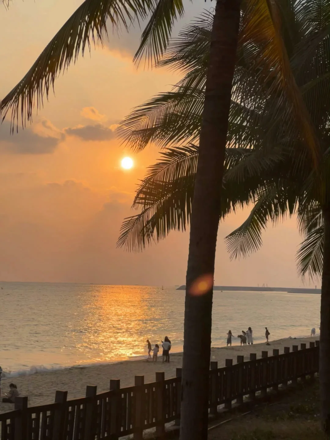 1.13📍三亚现状...在崩溃边缘😭