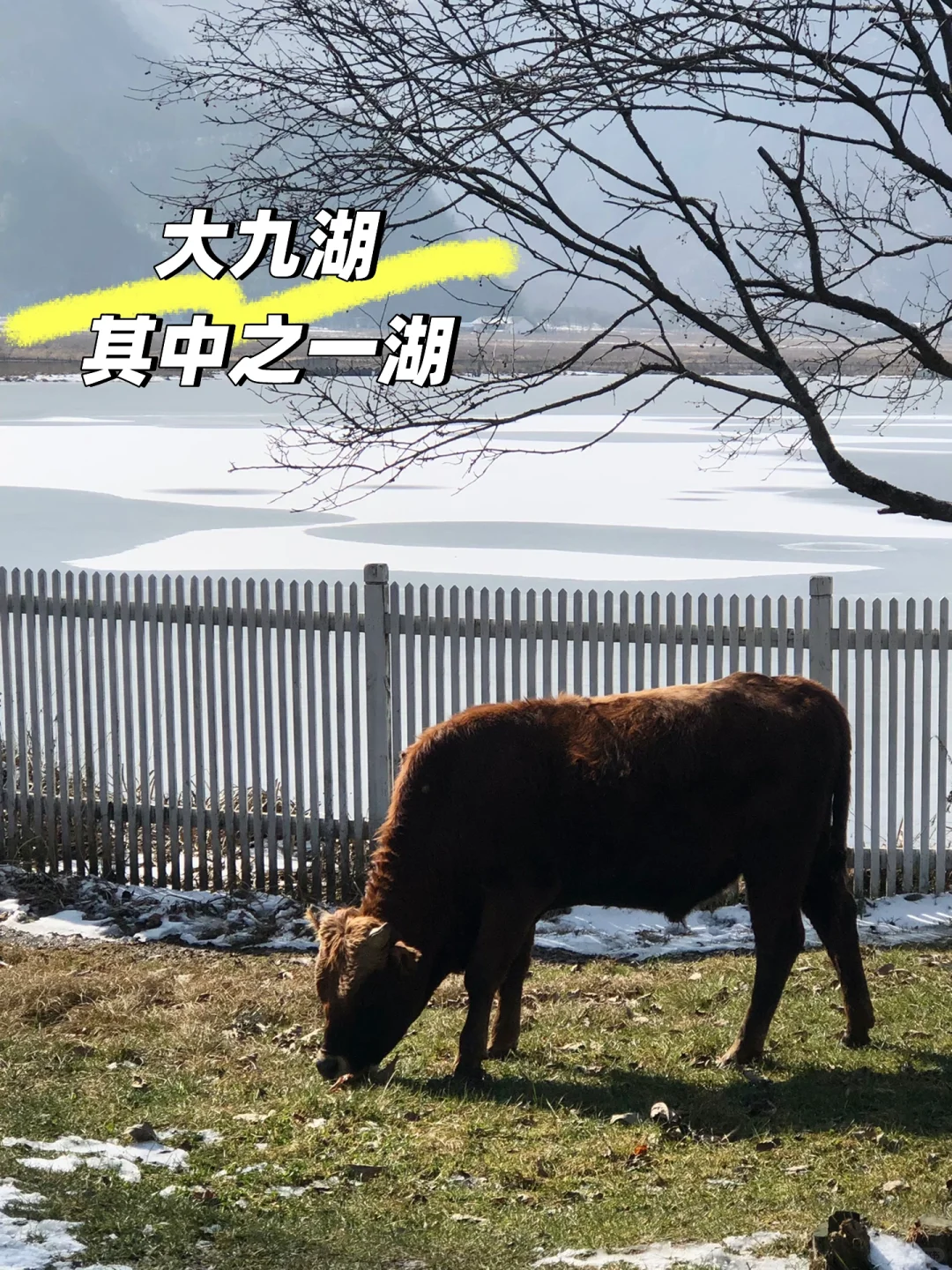 听劝去了神农架 美到失语❗️❗️❗️