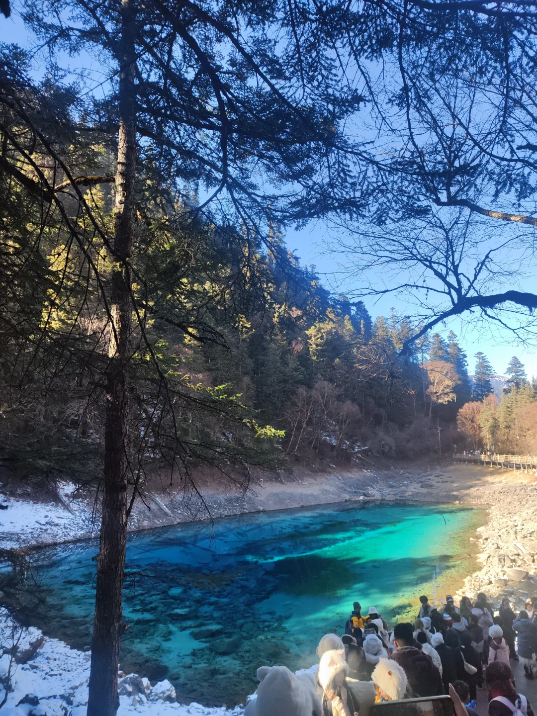 四小时速通九寨沟超详细版