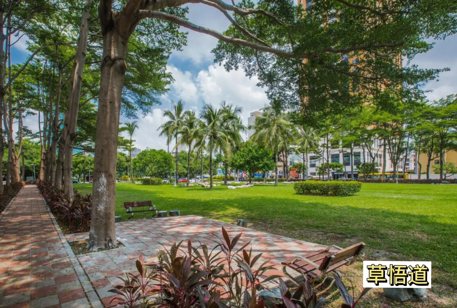 ✈️先出发再说 l 8个台中必游景点🌟建议收藏