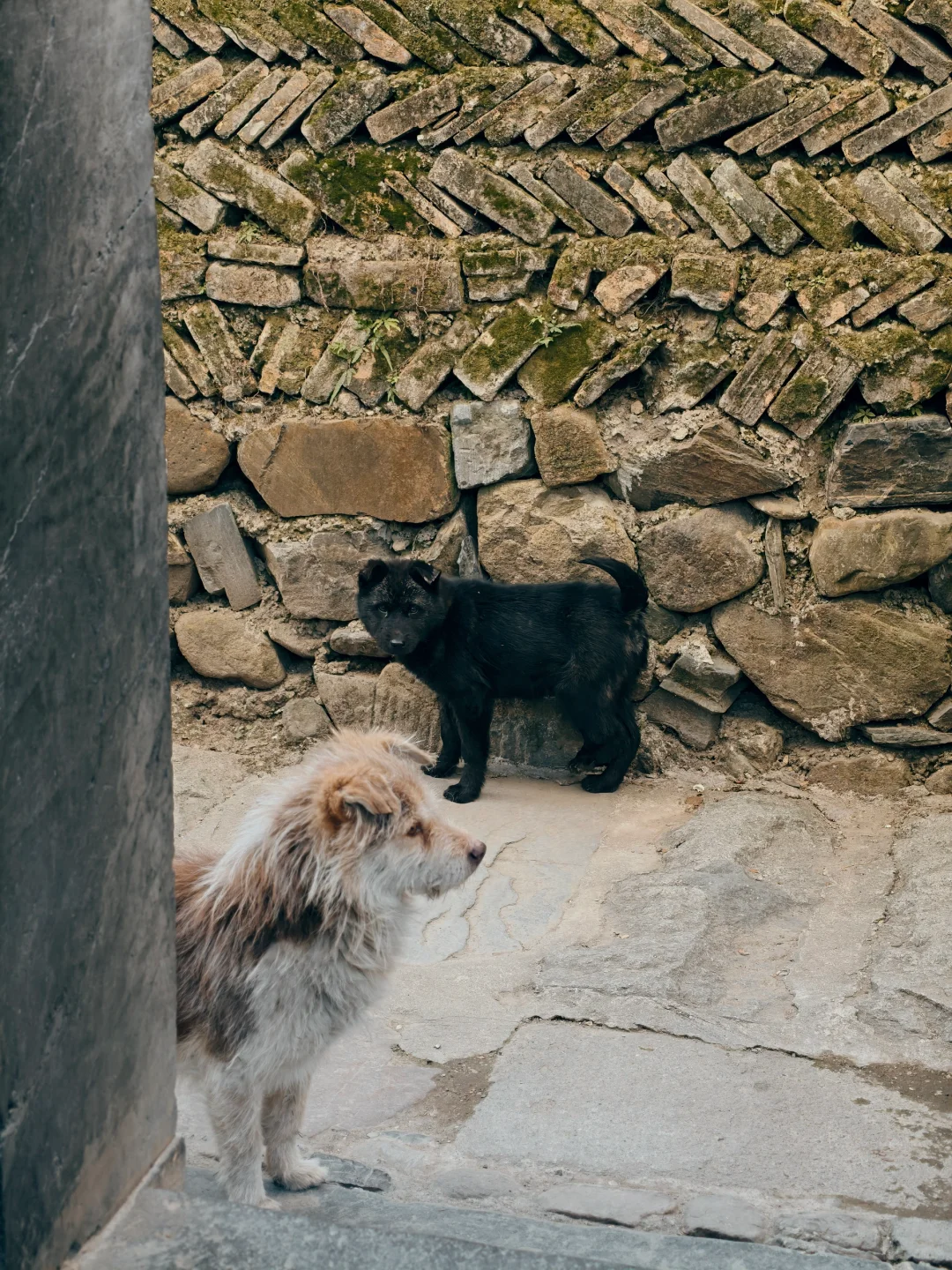打卡冬日南屏景区