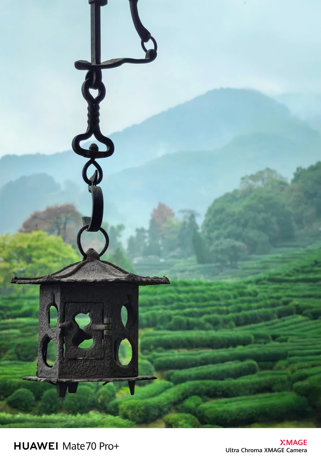 如果你来杭州，我不会让你去西湖‼️