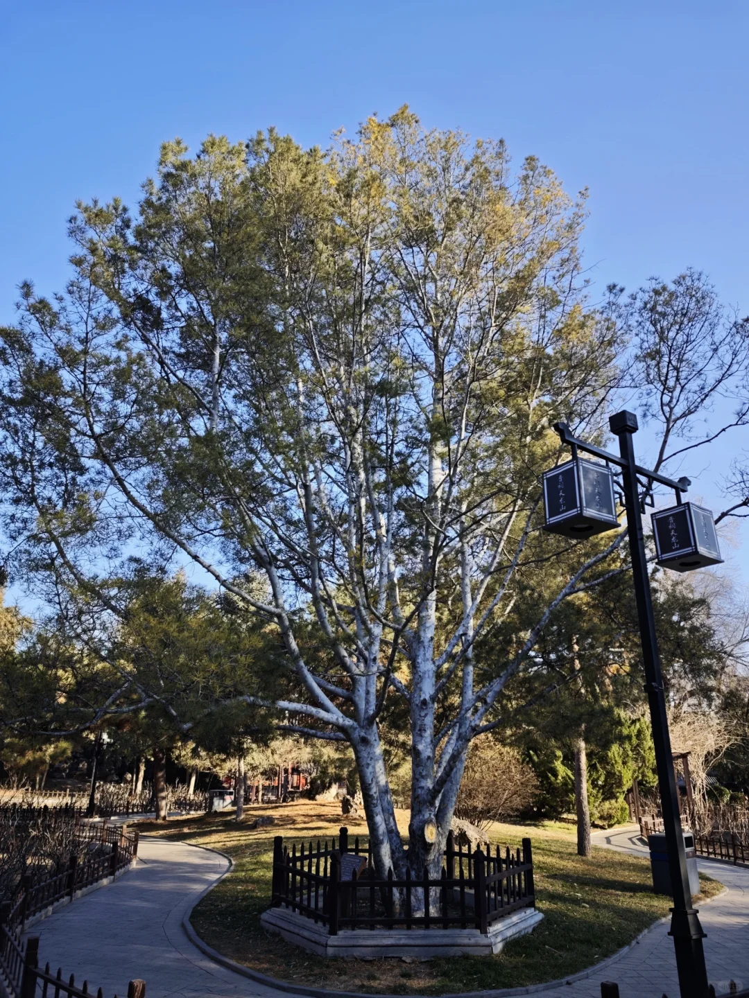 晋祠公园｜太原唐晋博物馆