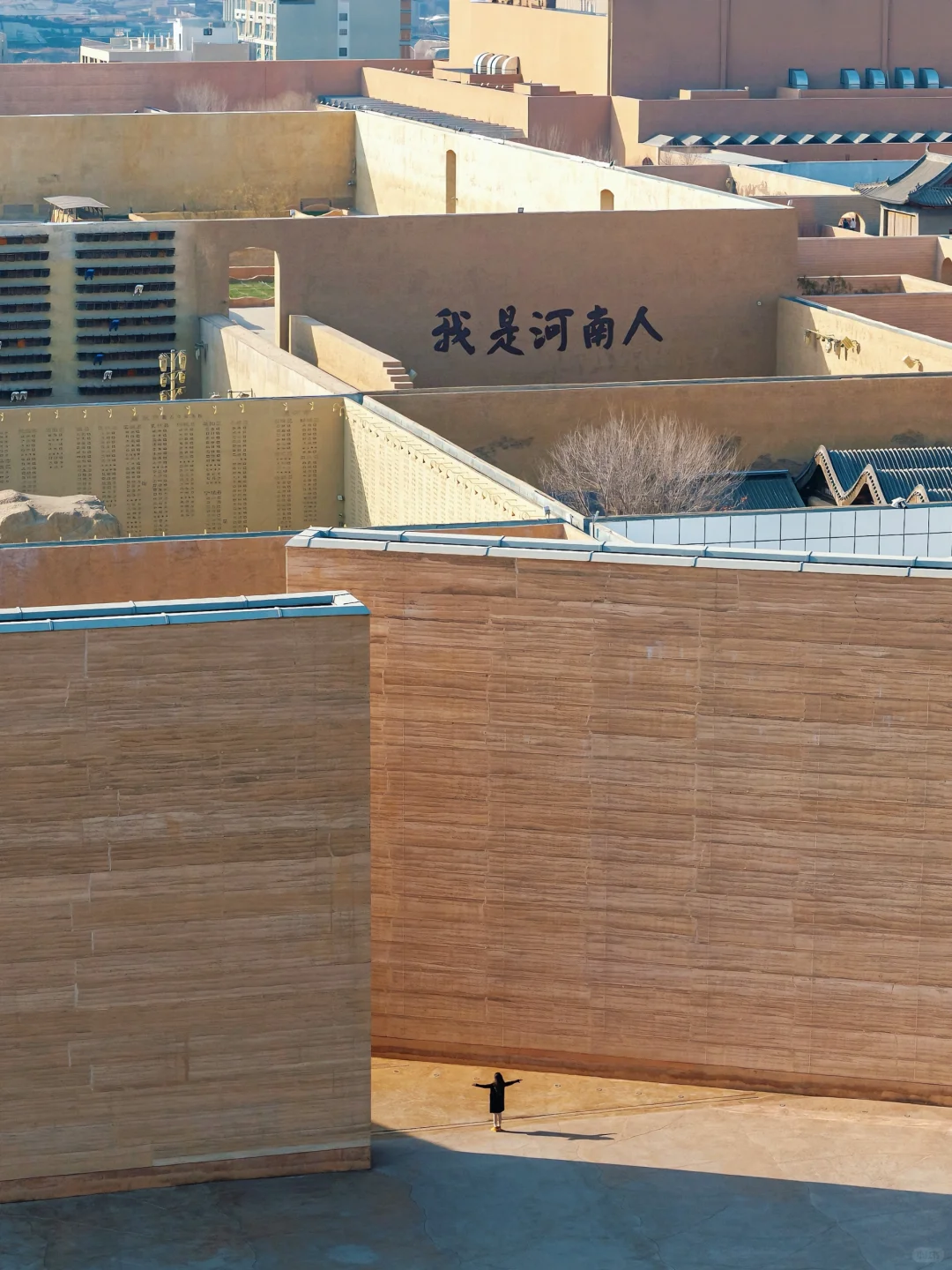 刚打卡完《只有河南》,听听我的真实感受‼️