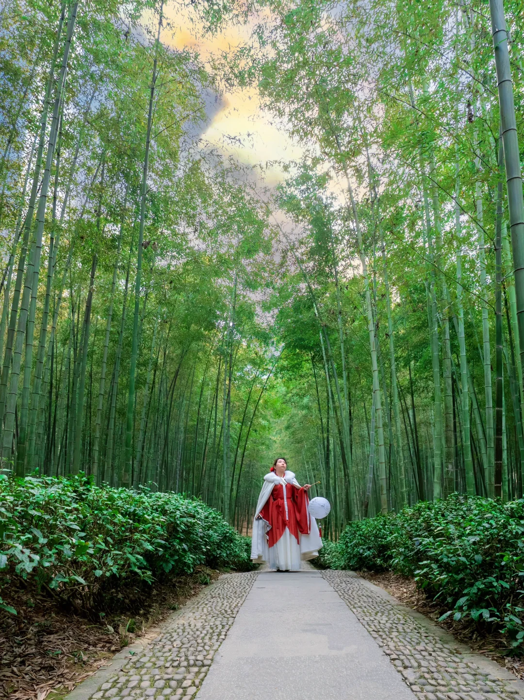 桐庐live到了梦幻仙境❗️