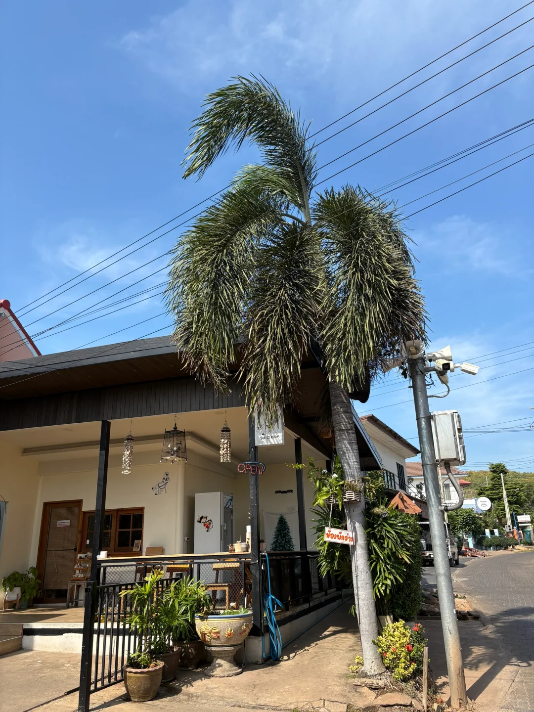 泰国真的很好玩（戒断反应）