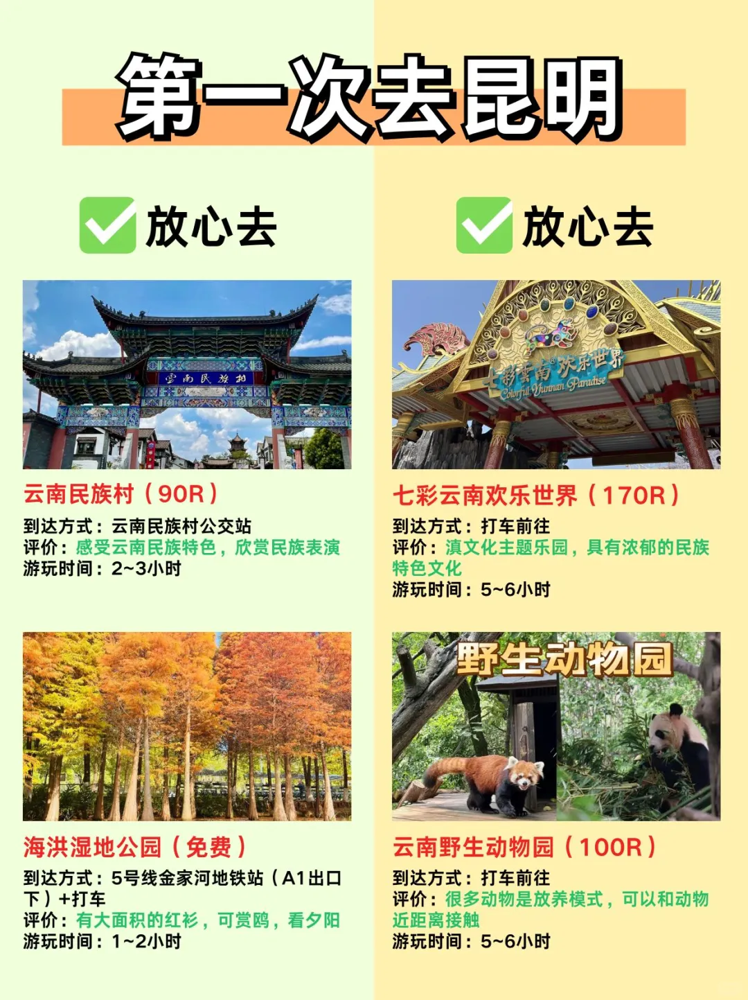 第一次来昆明必看‼️教你12～3月怎么玩