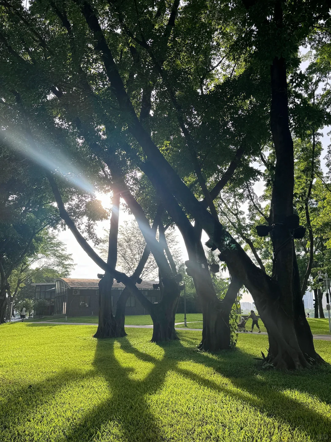 04男大📍惠州一日游City超详细旅游攻略‼️