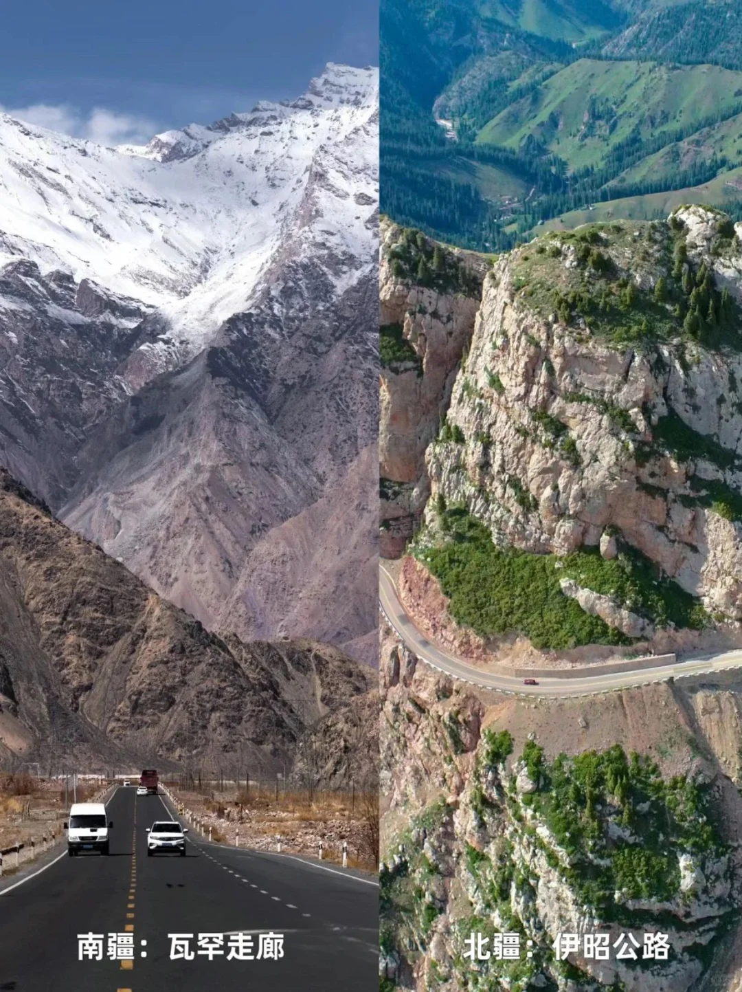 7🈷️-8🈷️来新疆|南北疆如何选择‼