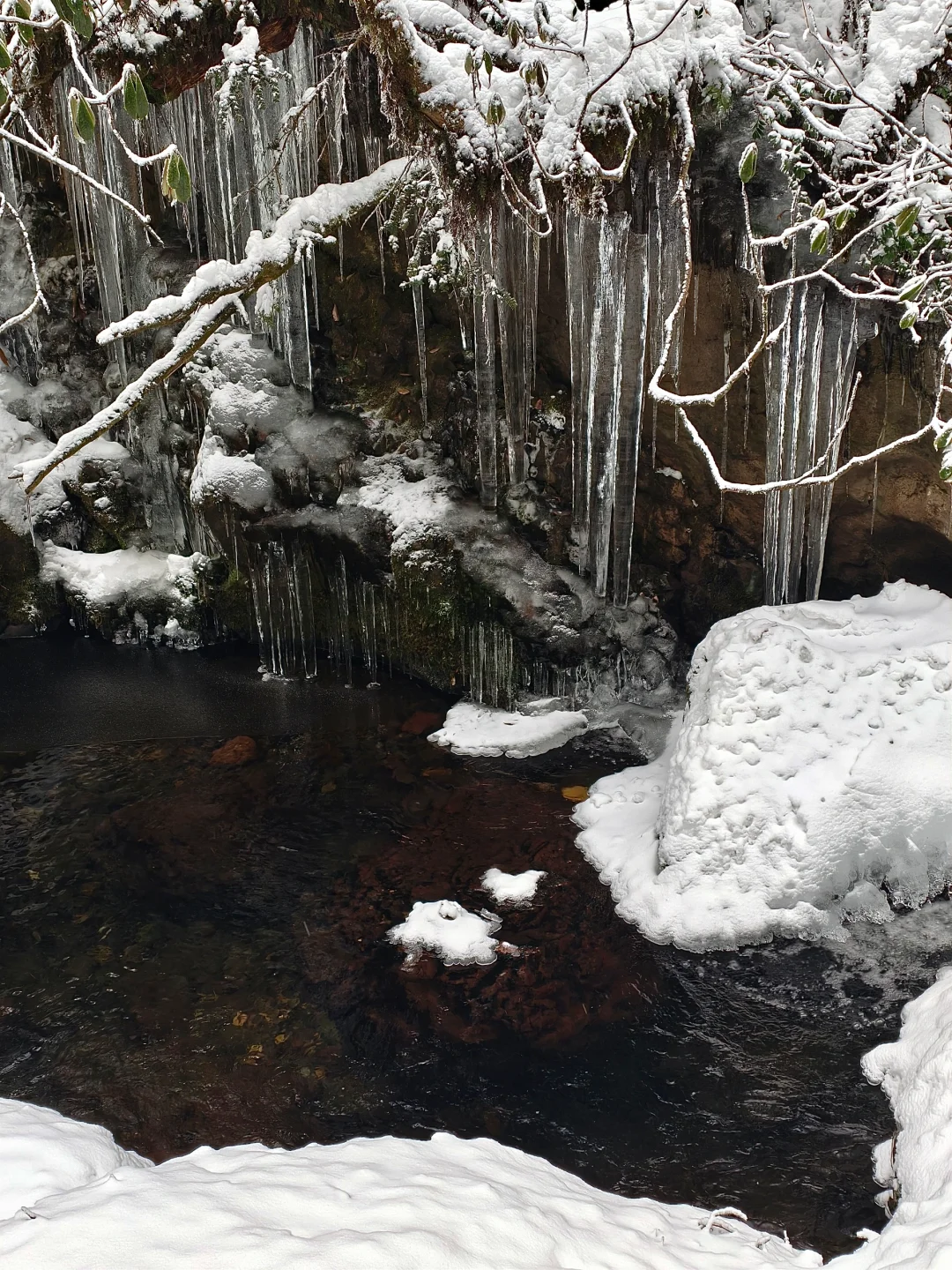 美到炸裂！真没去国外！！就在成都周边！！！