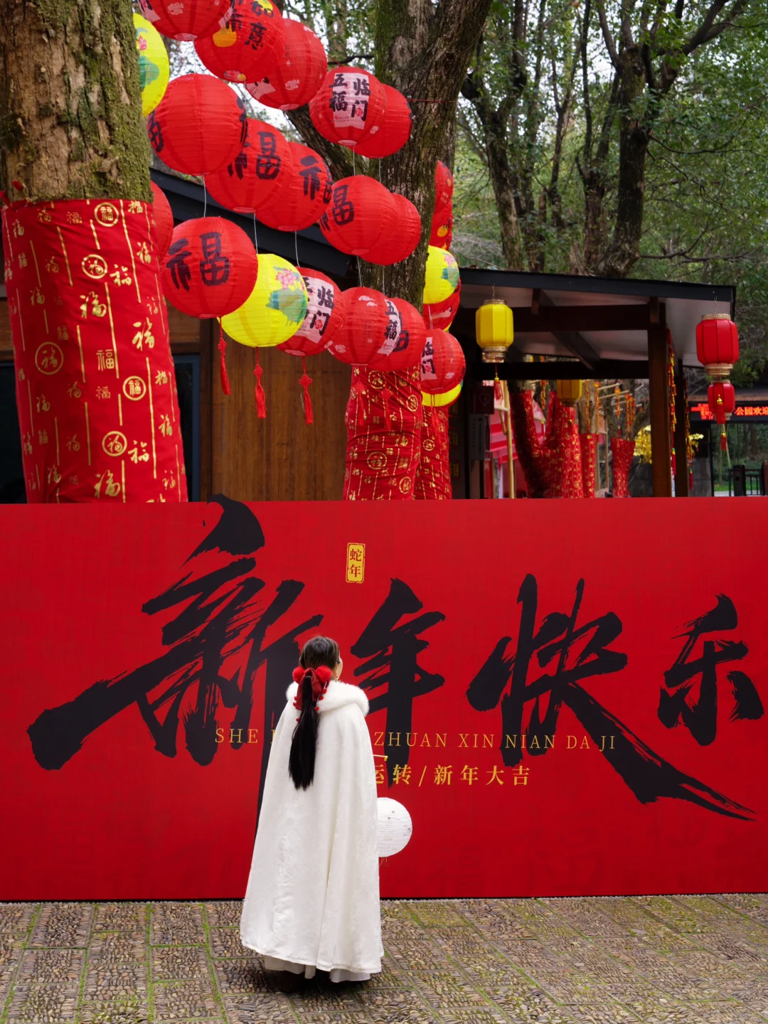 桐庐live到了梦幻仙境❗️