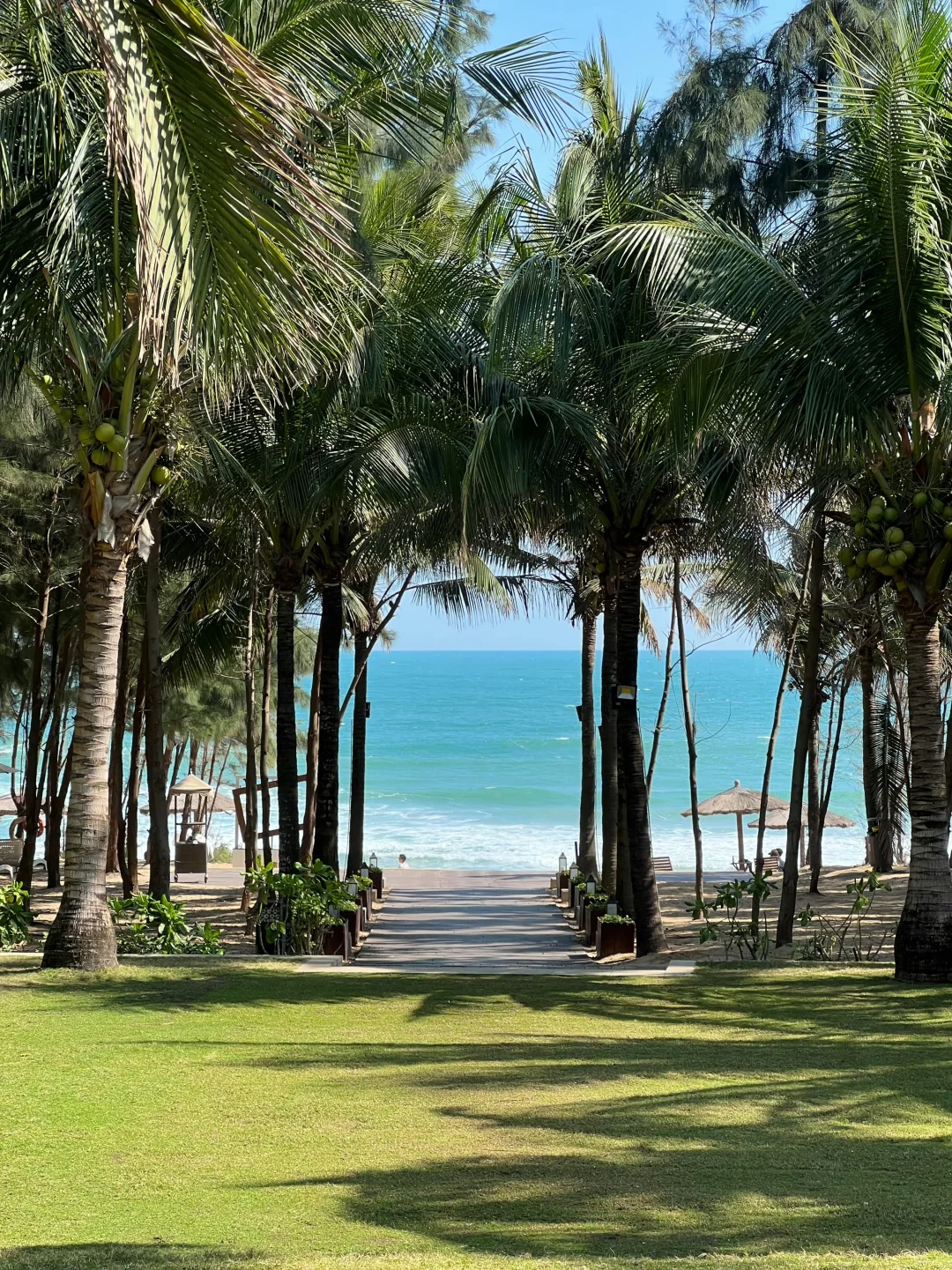 1.13📍三亚现状...在崩溃边缘😭