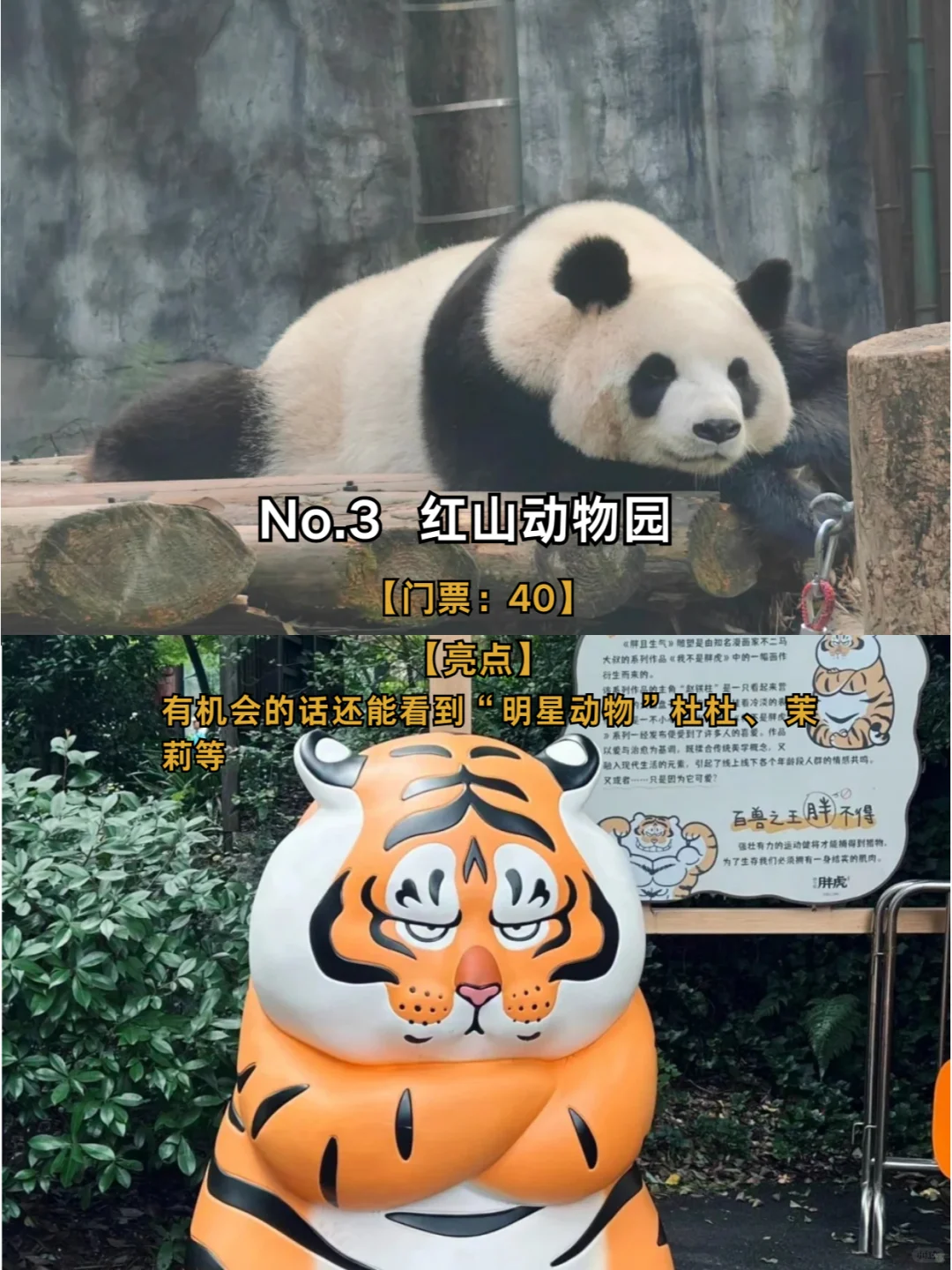 南京必去9大景点💡旅游前必看❗