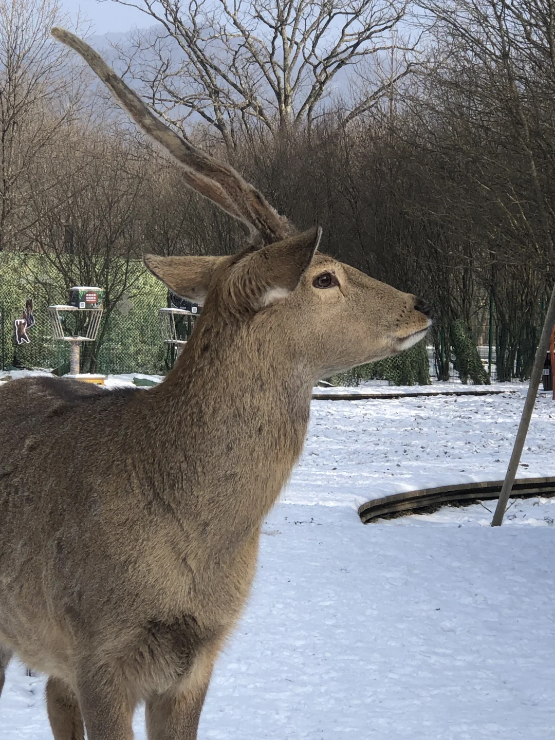 听劝去了神农架 美到失语❗️❗️❗️