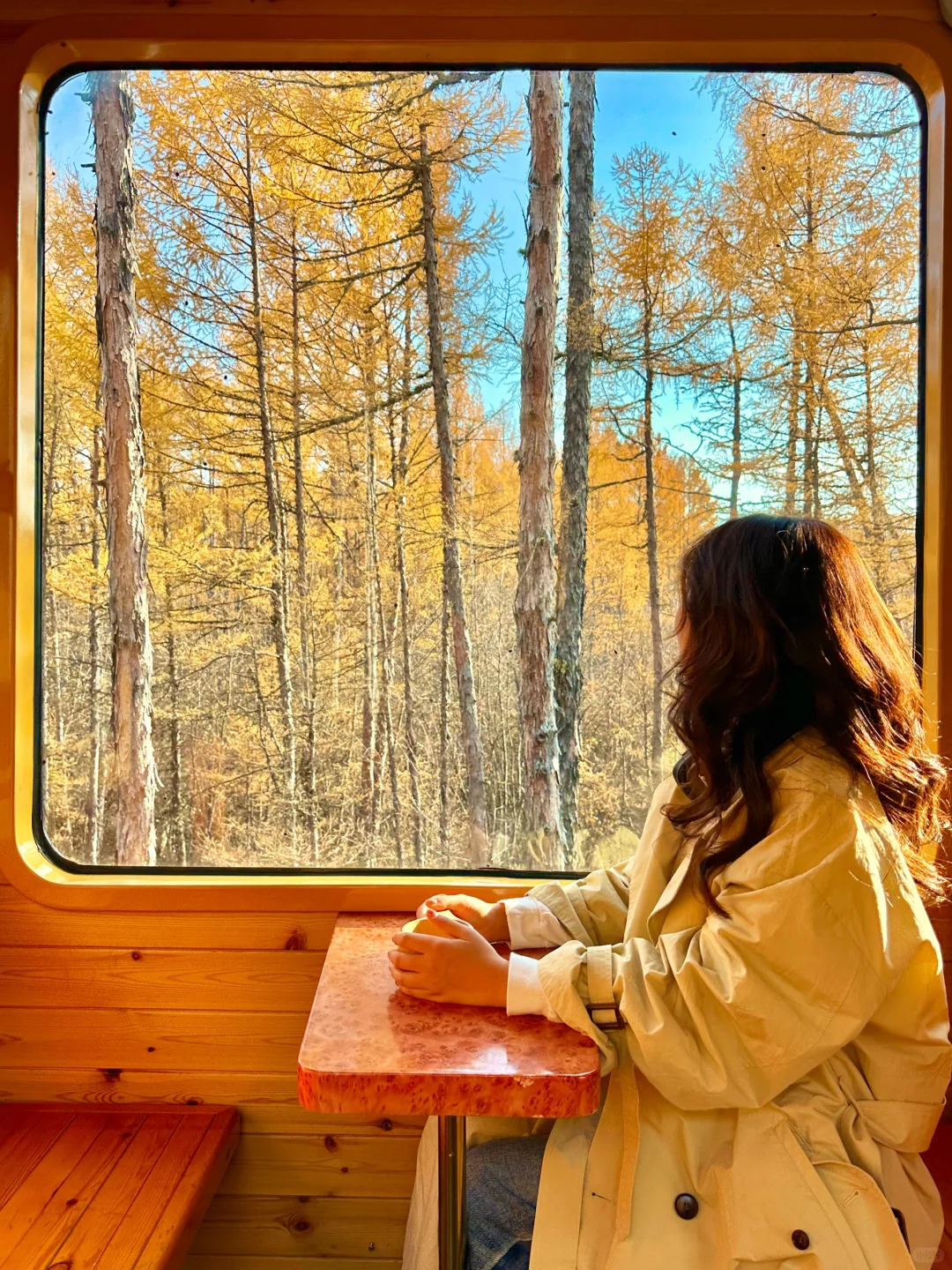 2024年度旅行结算｜live图的意义！