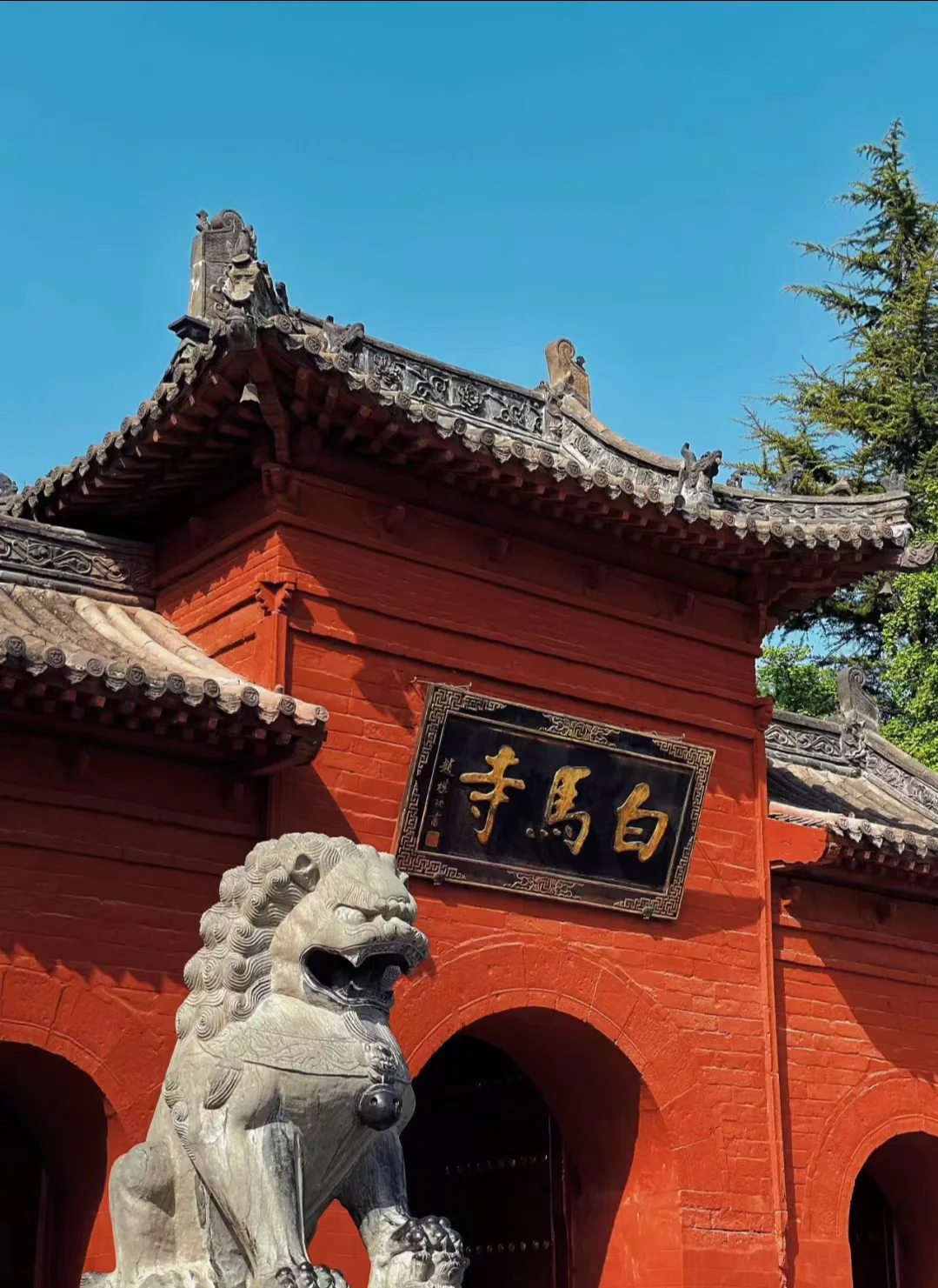 洛阳旅游无预约不出行❗景点合集大全👏