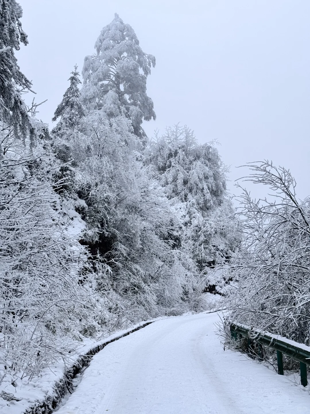 美到炸裂！真没去国外！！就在成都周边！！！