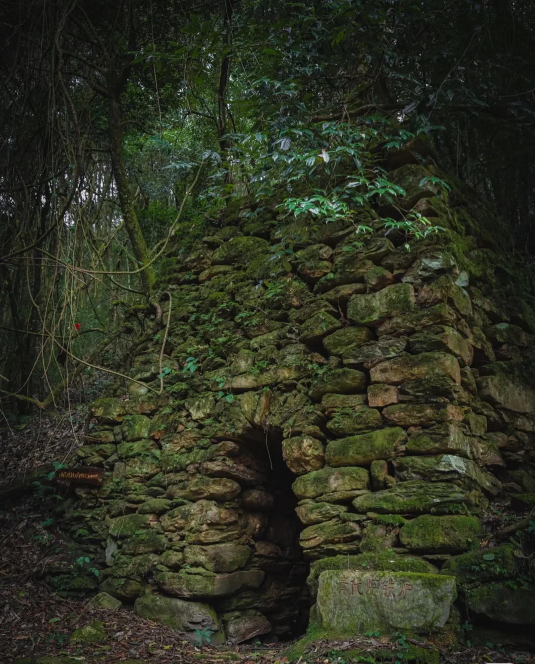 哀牢山—大雾四起 我在无人之处爱你❗️❗️