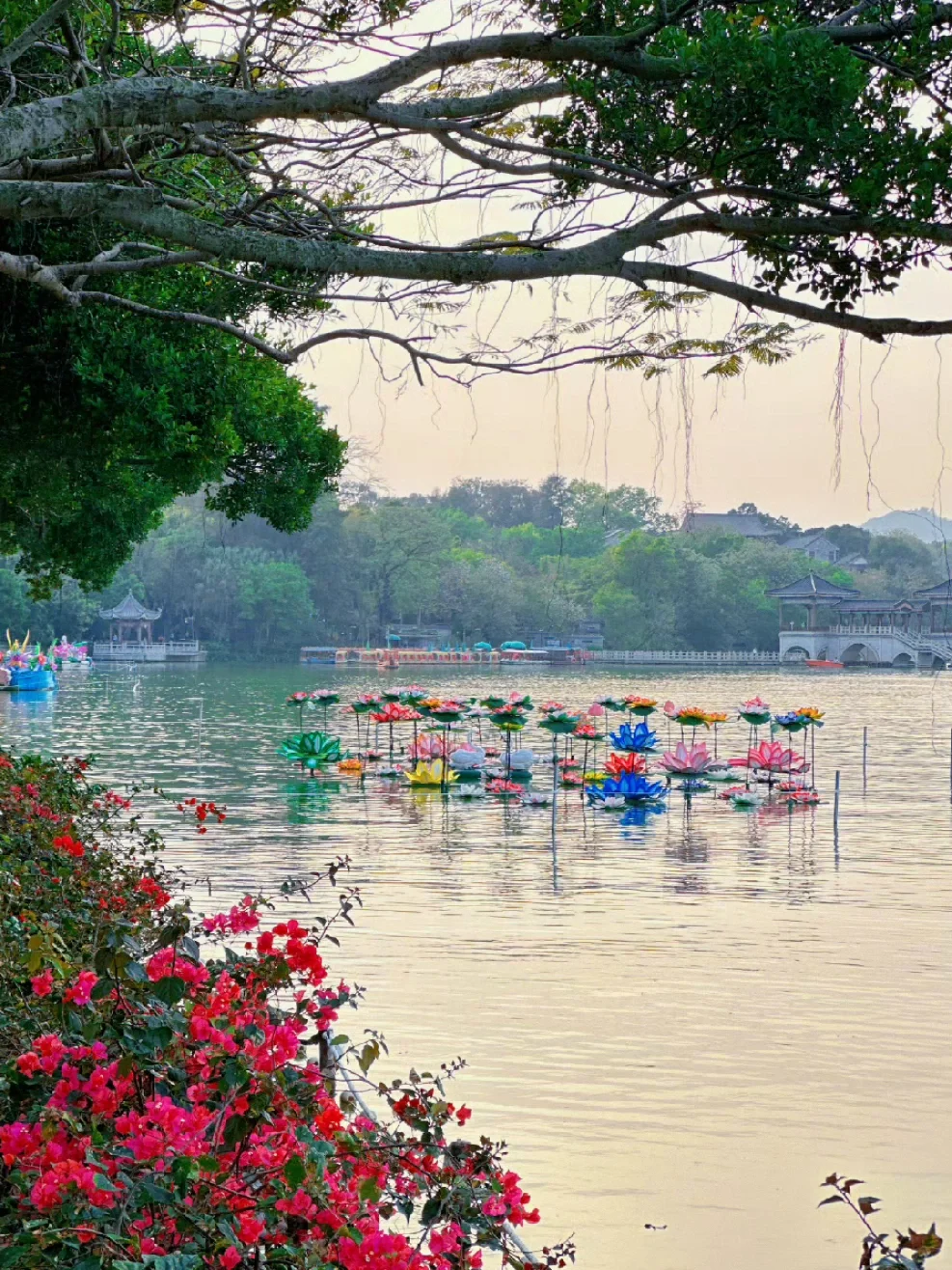 04男大📍惠州一日游City超详细旅游攻略‼️