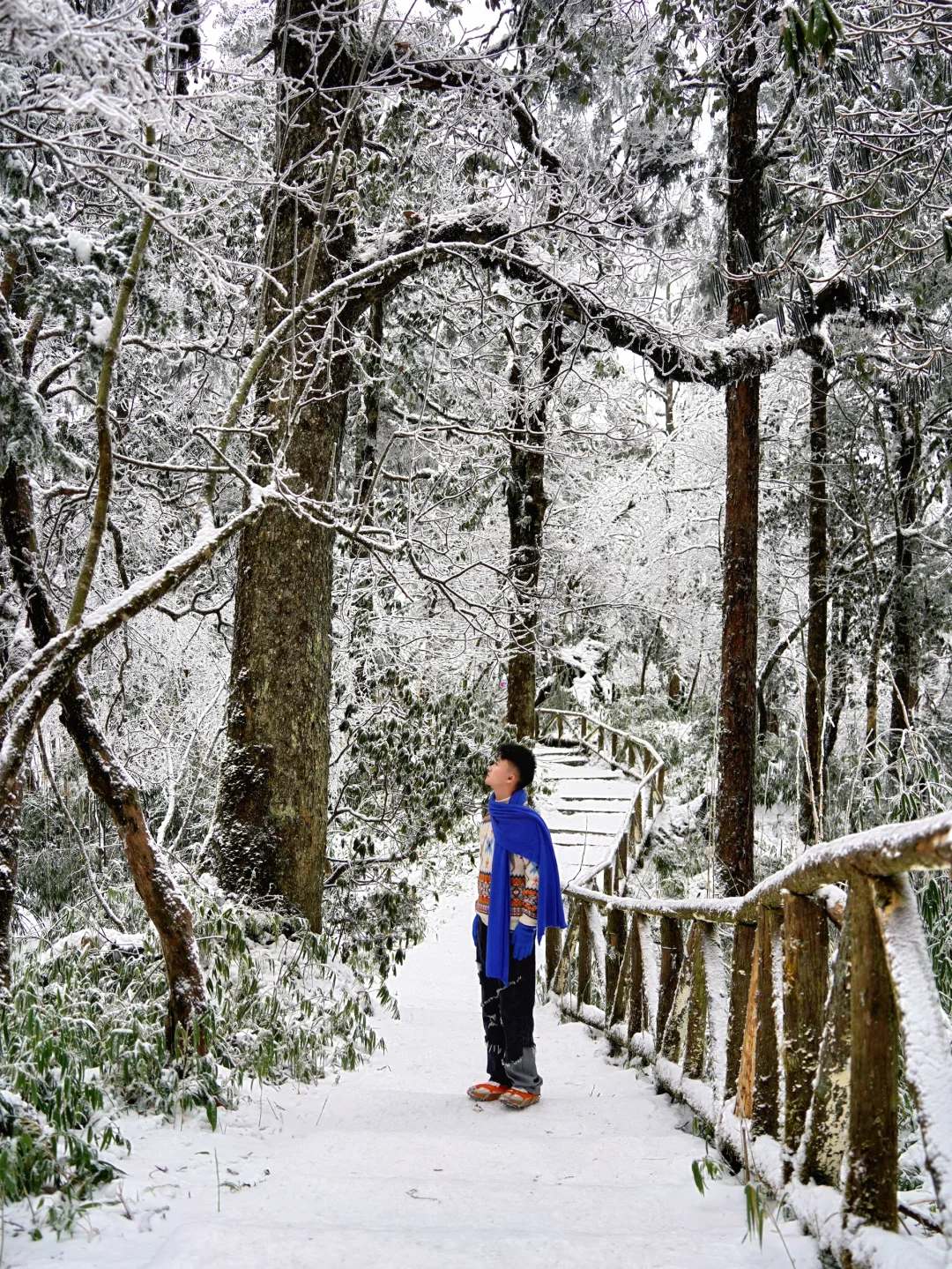 美到炸裂！真没去国外！！就在成都周边！！！