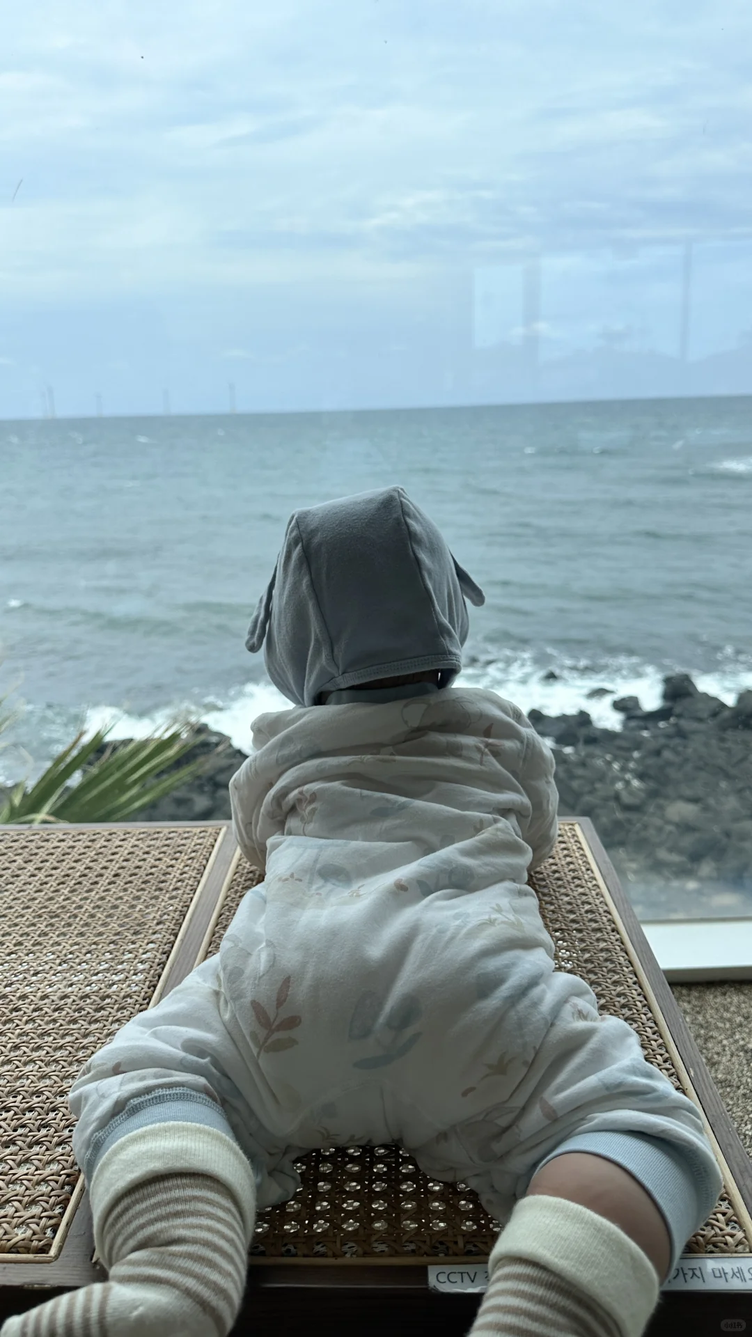 想看看你们带六月龄宝宝去哪里旅游了？