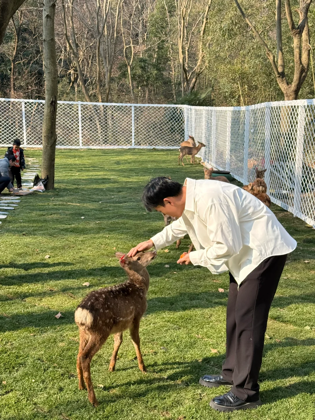 以为西湖已经够美了，直到我去了这里…