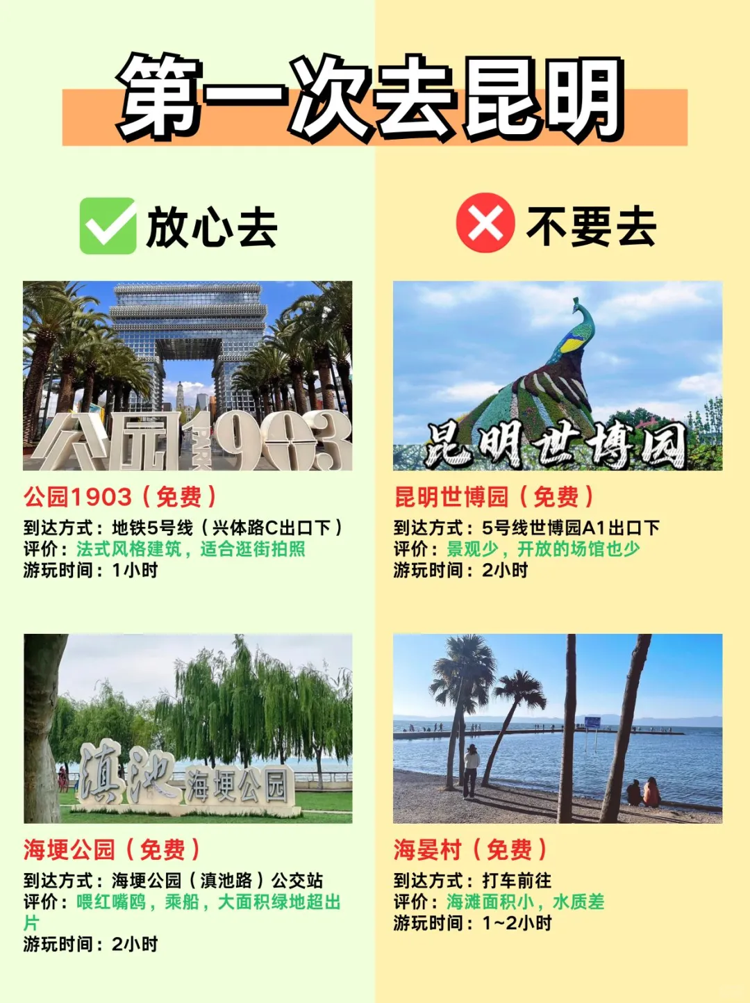 第一次来昆明必看‼️教你12～3月怎么玩