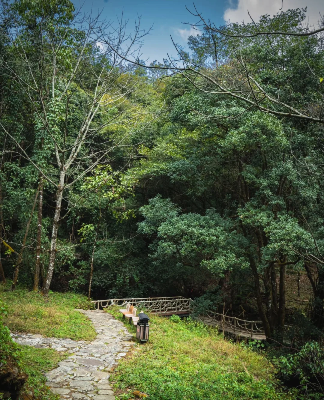 哀牢山—大雾四起 我在无人之处爱你❗️❗️