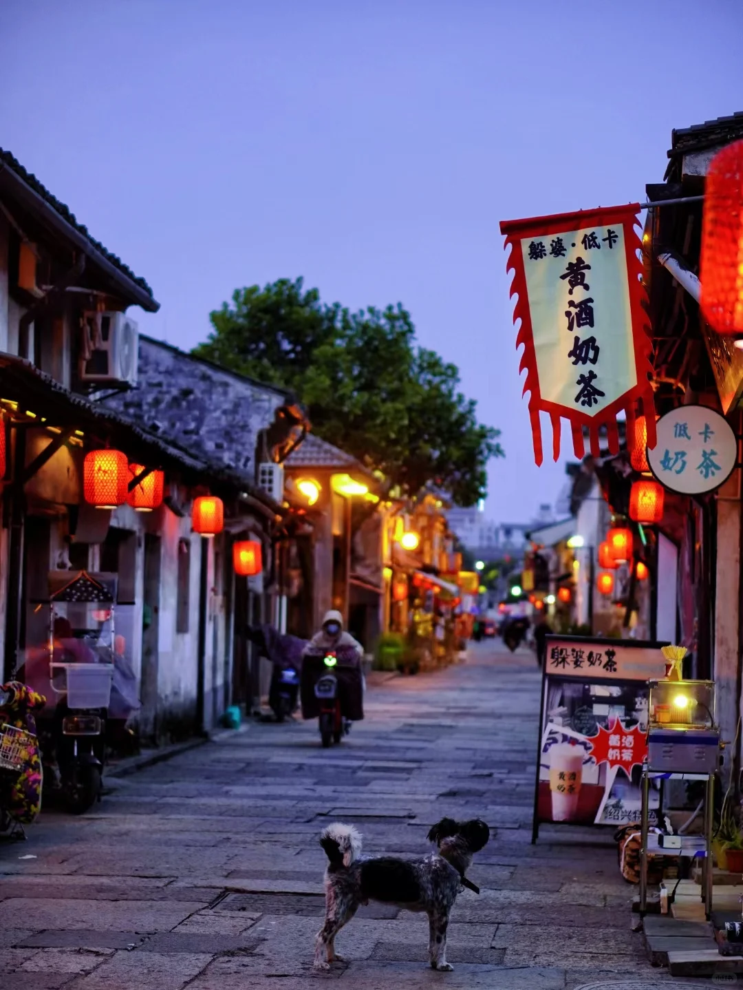 我夸绍兴一万遍，不如你亲自看一眼‼️