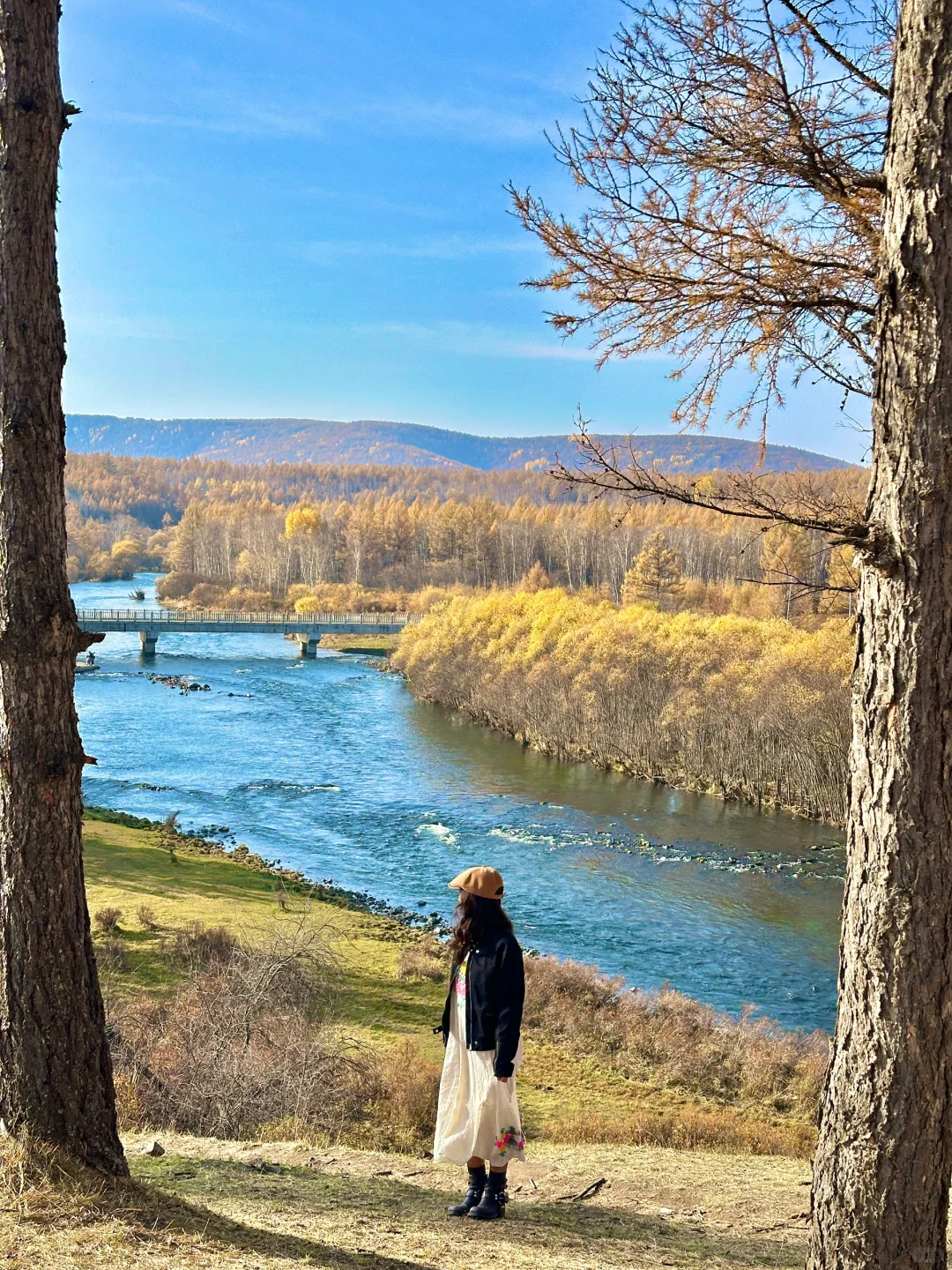 2024年度旅行结算｜live图的意义！
