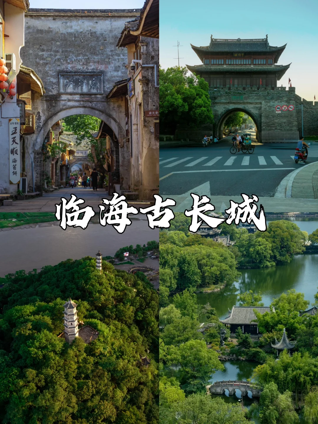 台州真的让人太痛了😭!