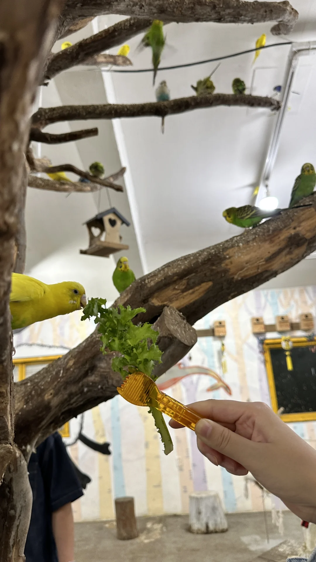 想看看你们带六月龄宝宝去哪里旅游了？