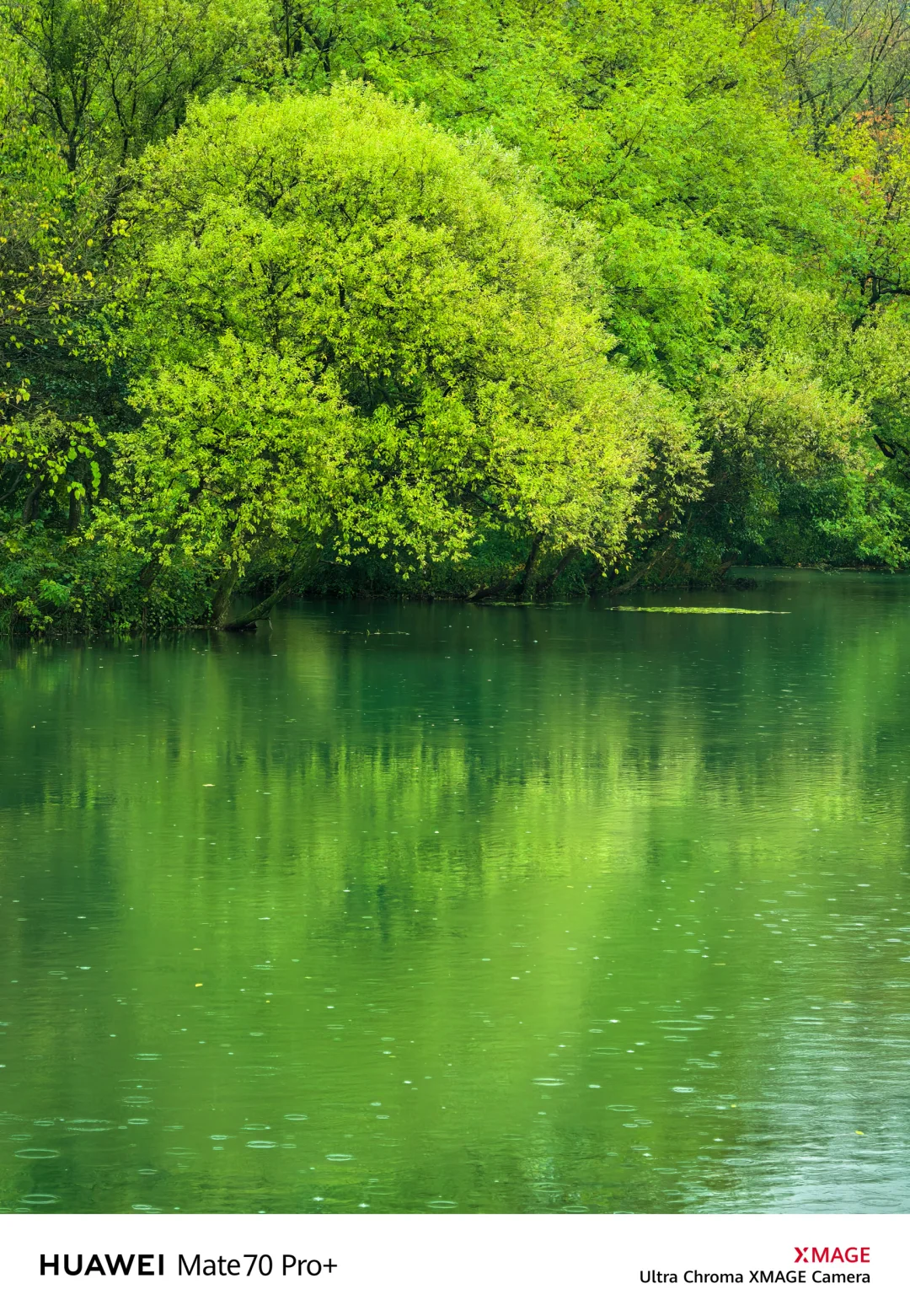 如果你来杭州，我不会让你去西湖‼️