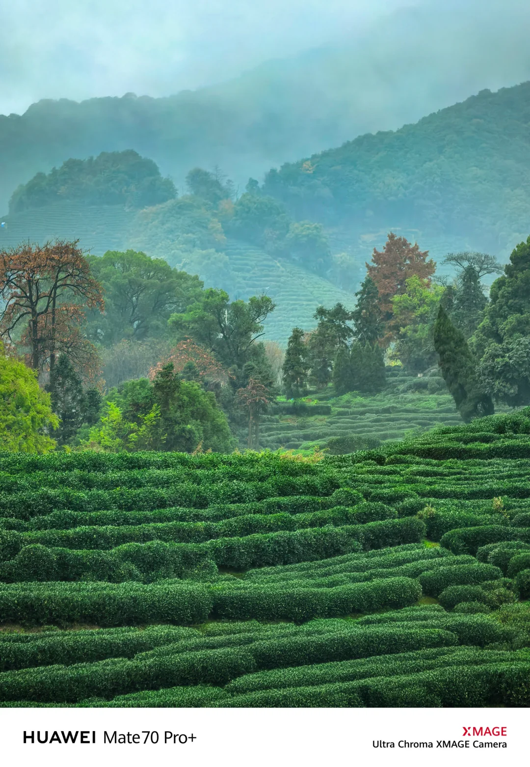 如果你来杭州，我不会让你去西湖‼️