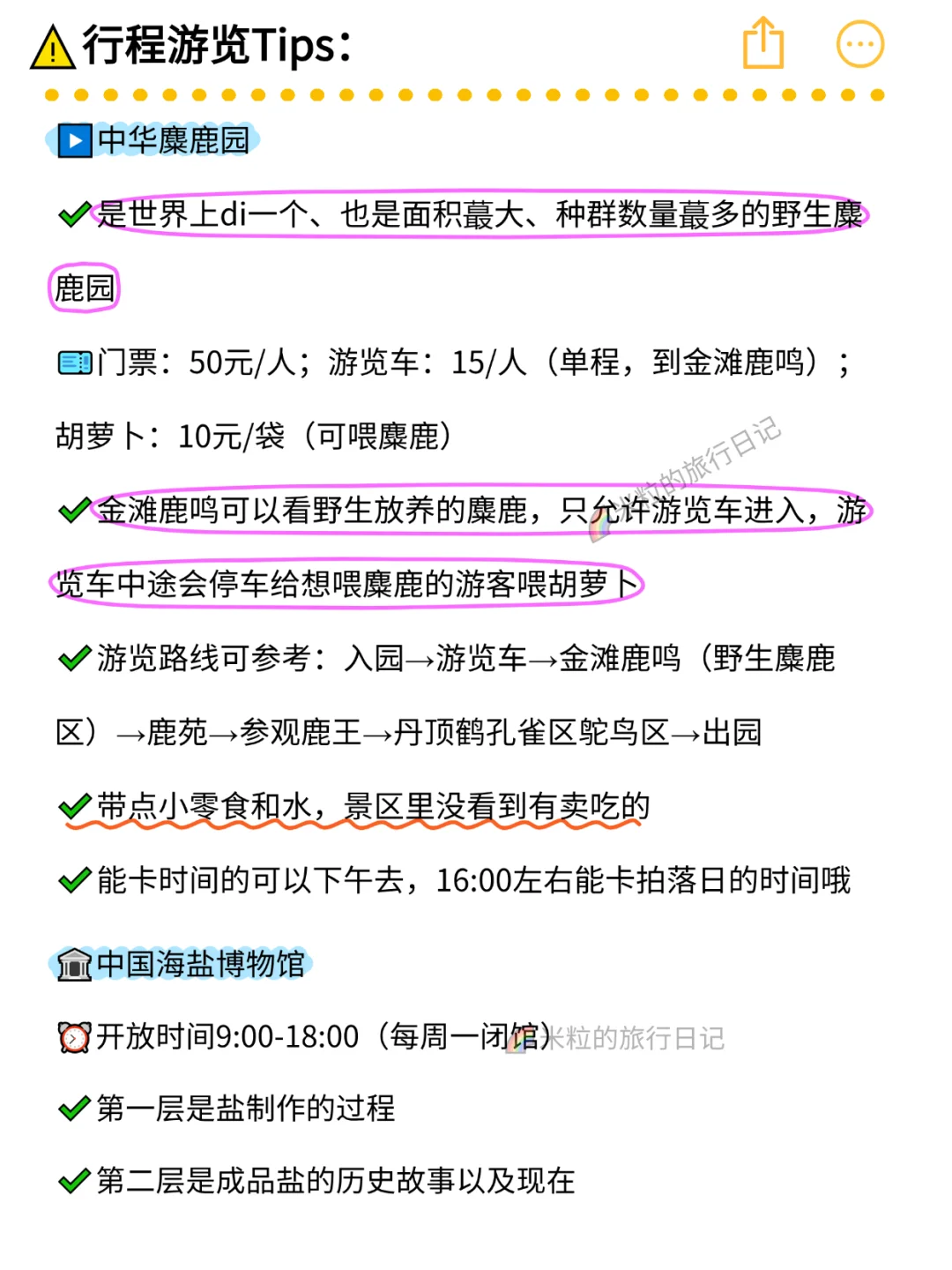 冬游盐城丨2天1晚citywalk版旅游攻略