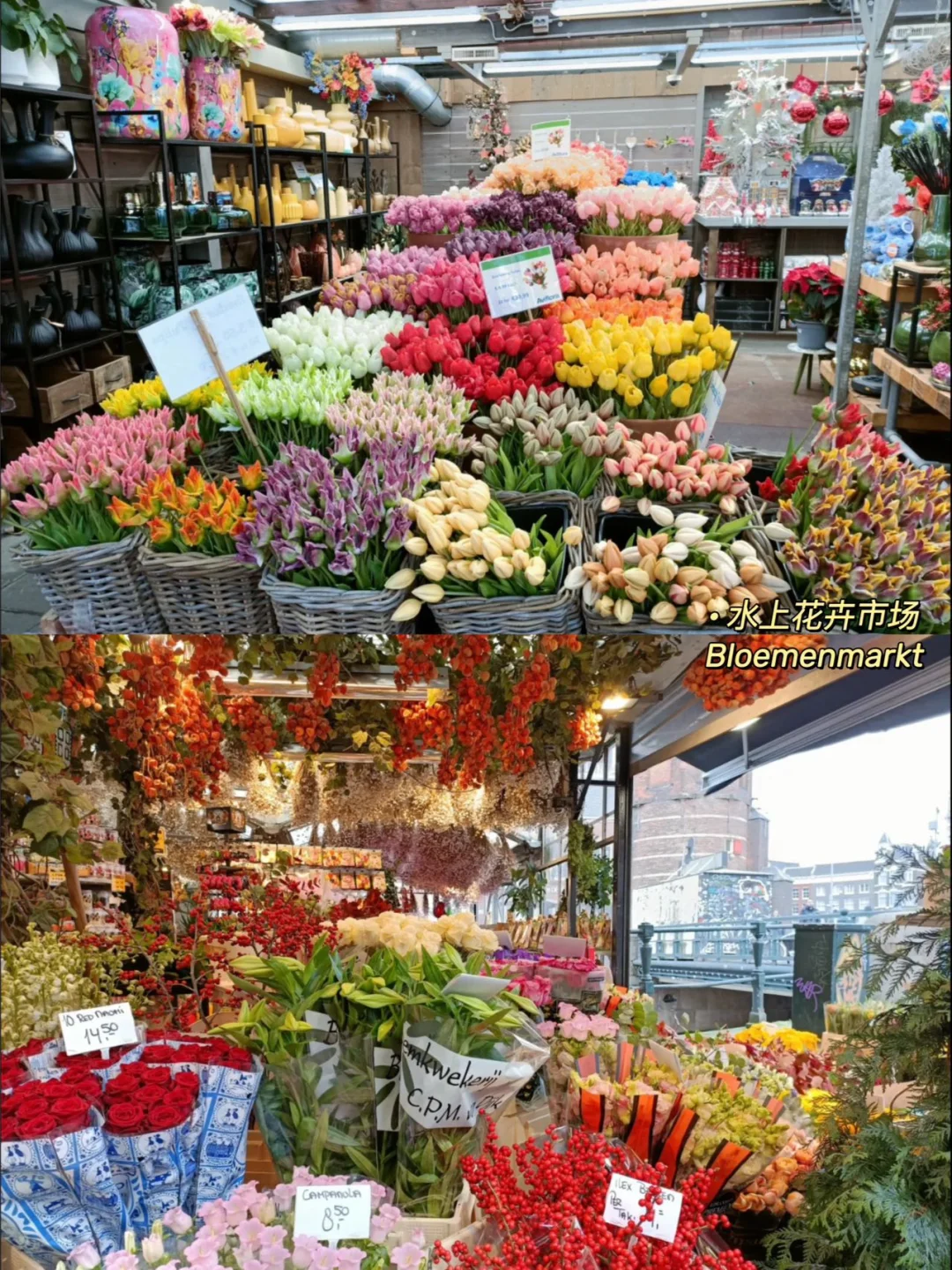 快收藏❗好不容易整理的阿姆斯特丹景点路线