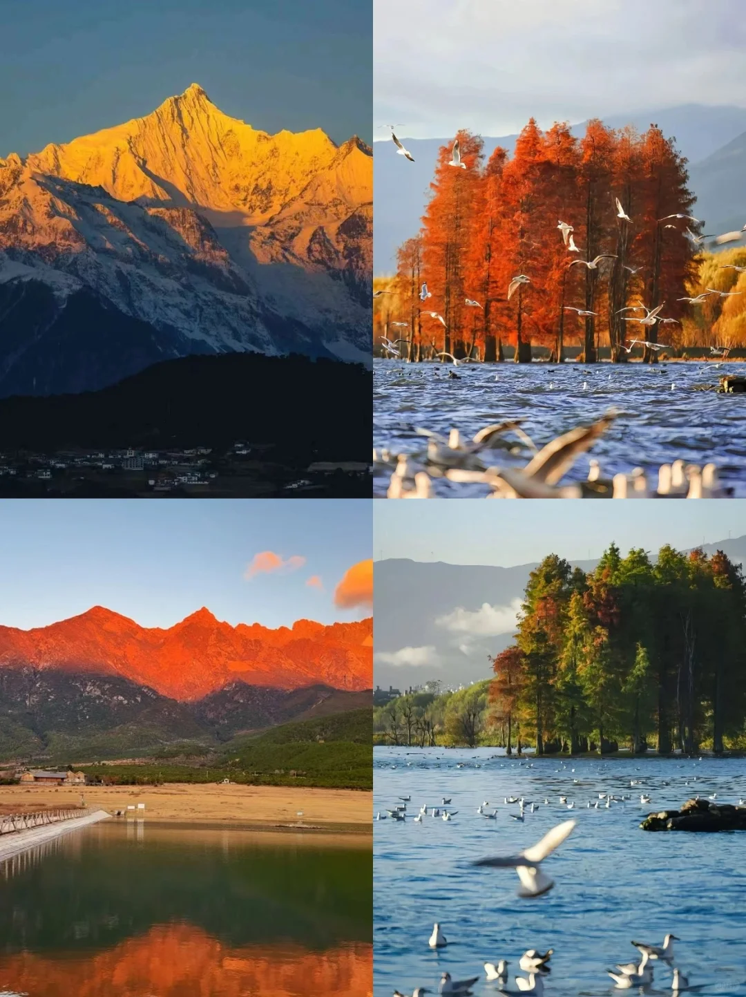 终于玩明白云南了！（吐血整理攻略版）码住