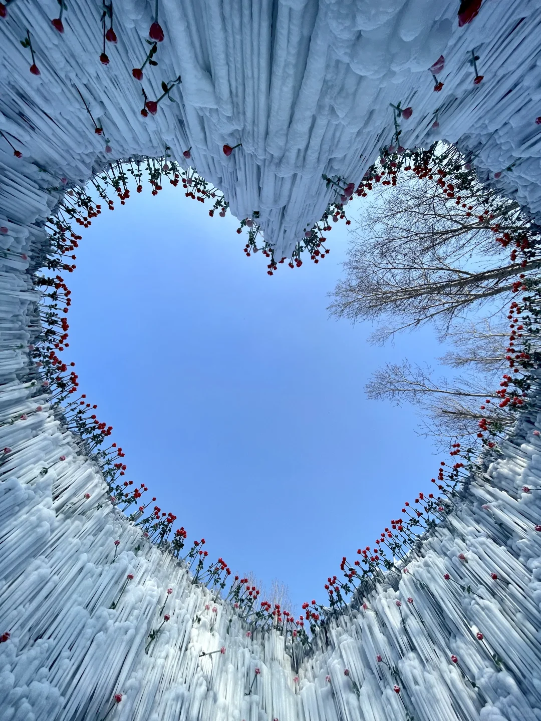 Live图的意义❄️感受长春的绝美冬天