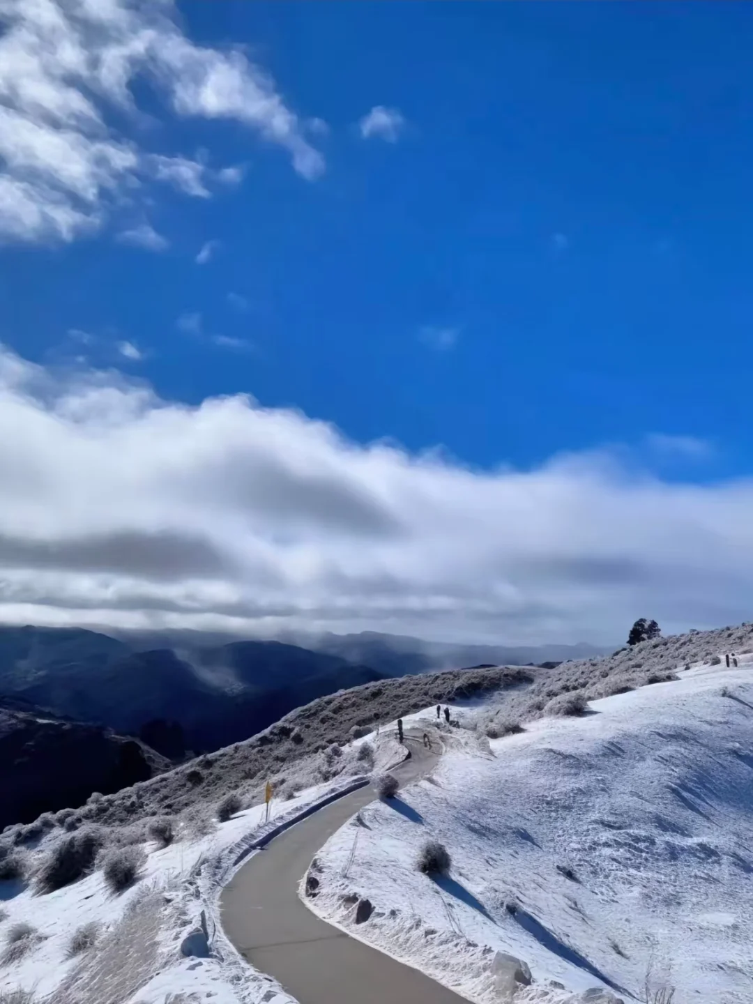 冬天的神农架真的美惨了啊