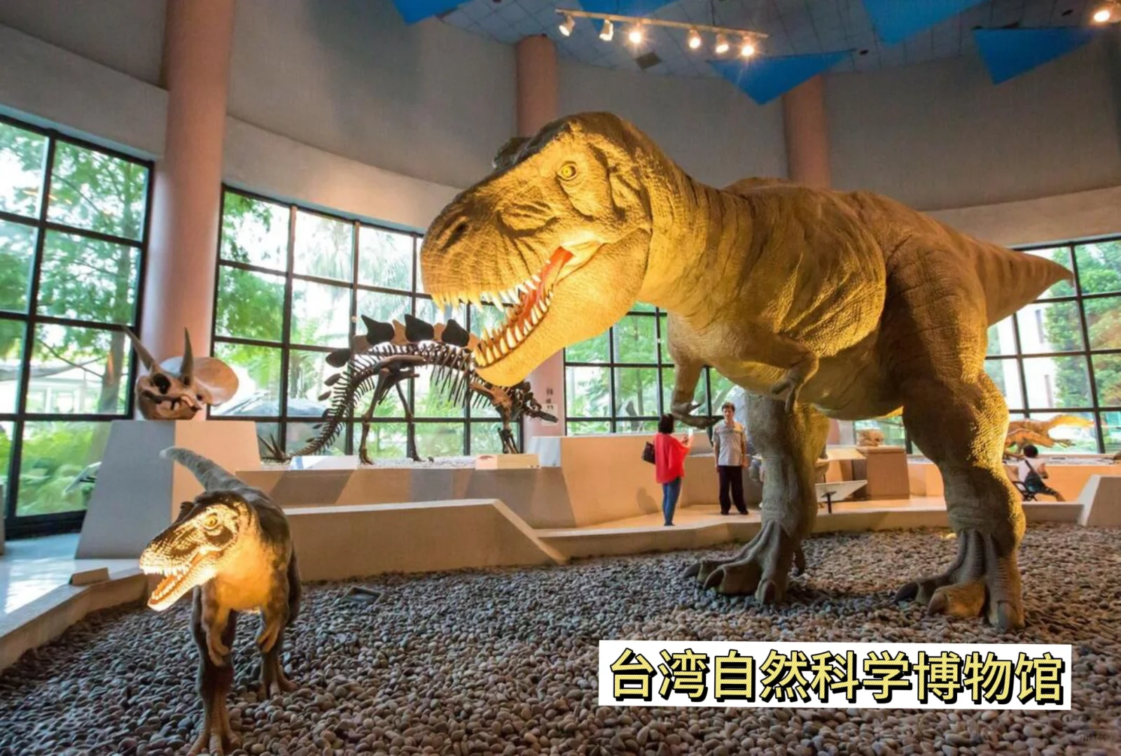 ✈️先出发再说 l 8个台中必游景点🌟建议收藏