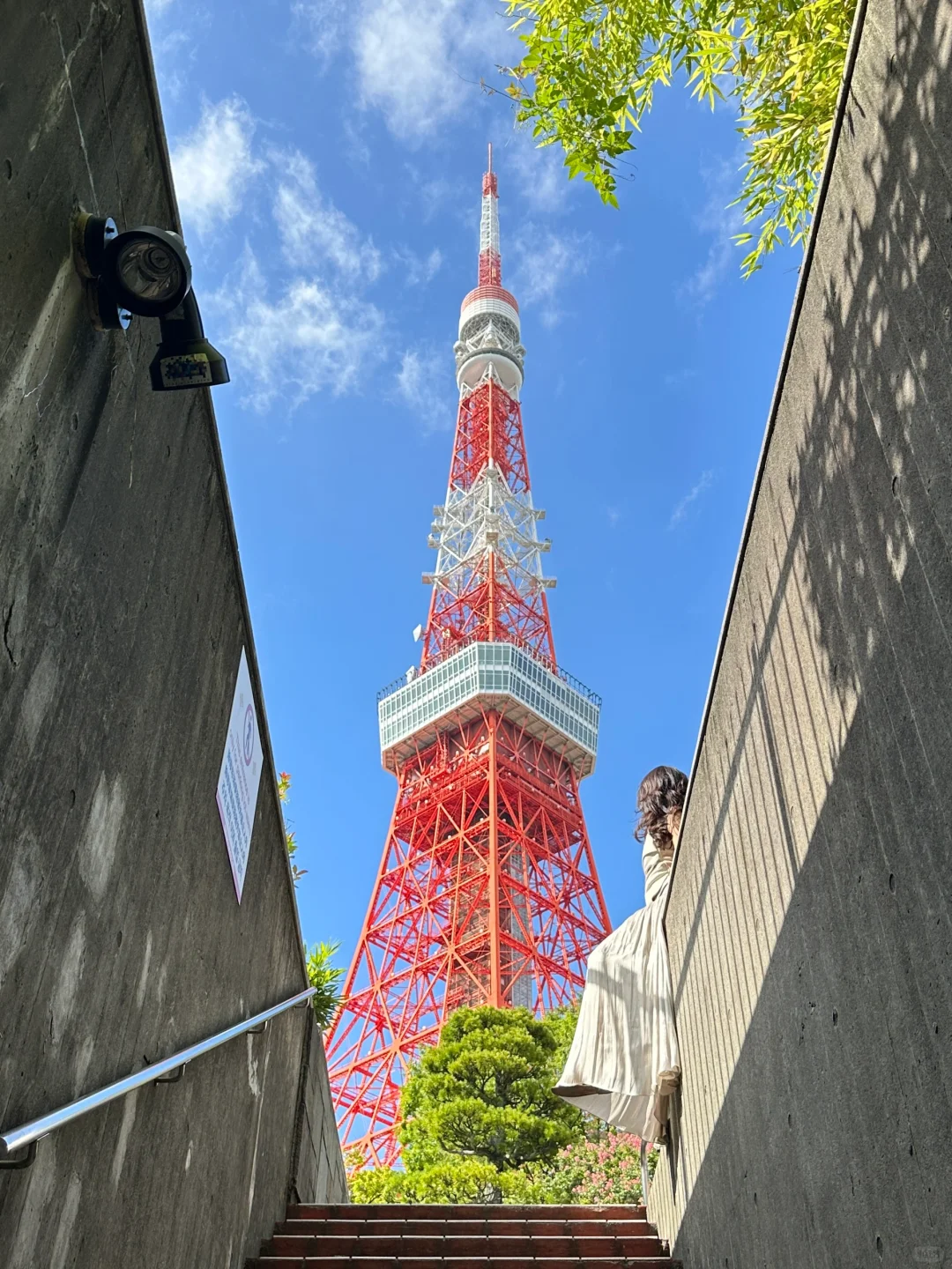 2024年度旅行结算｜live图的意义！