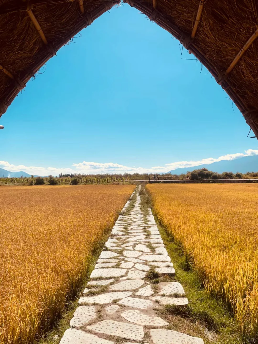 这绝对‼️是你看过最完整的大理游玩攻略📝