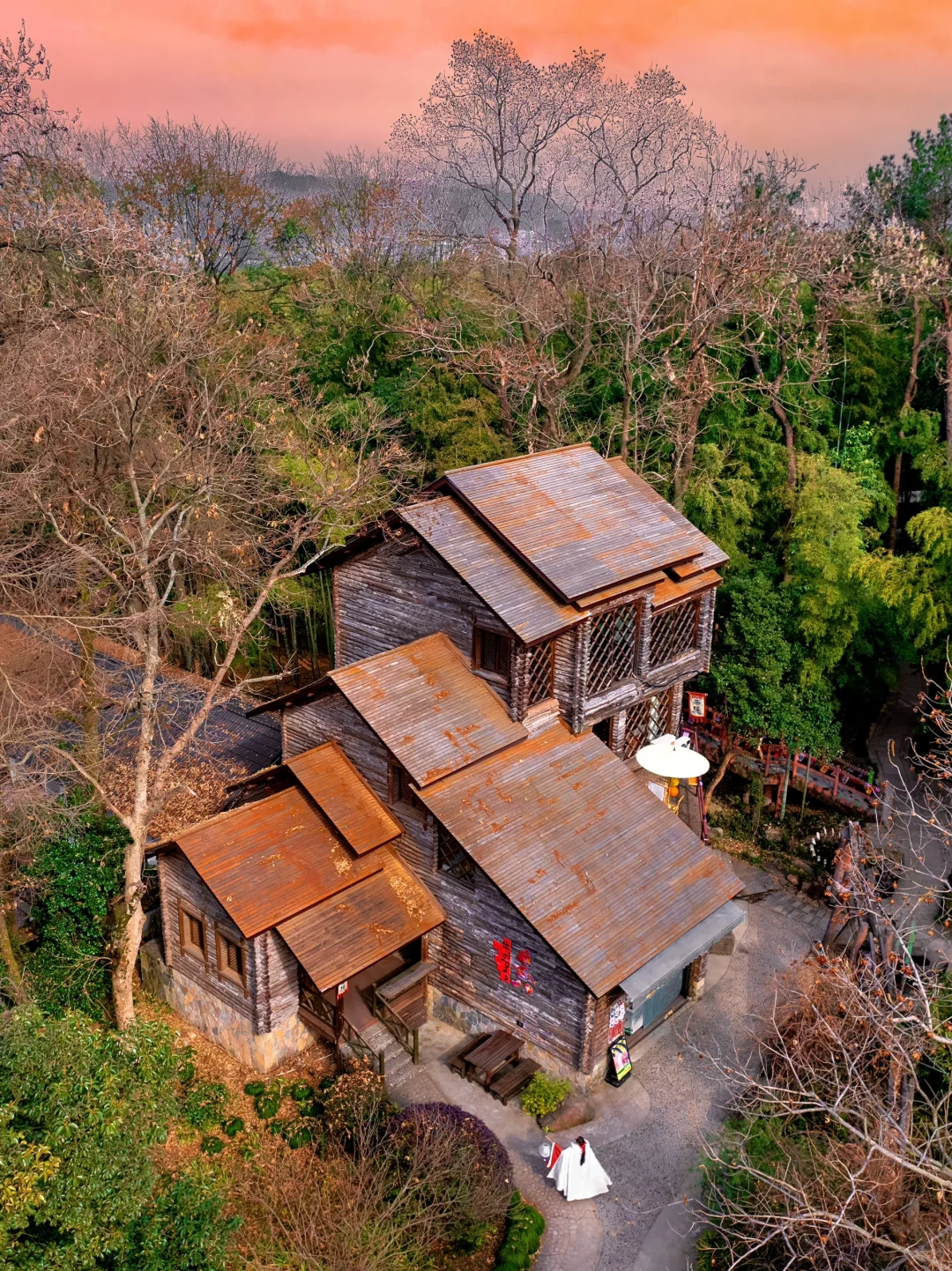 桐庐live到了梦幻仙境❗️