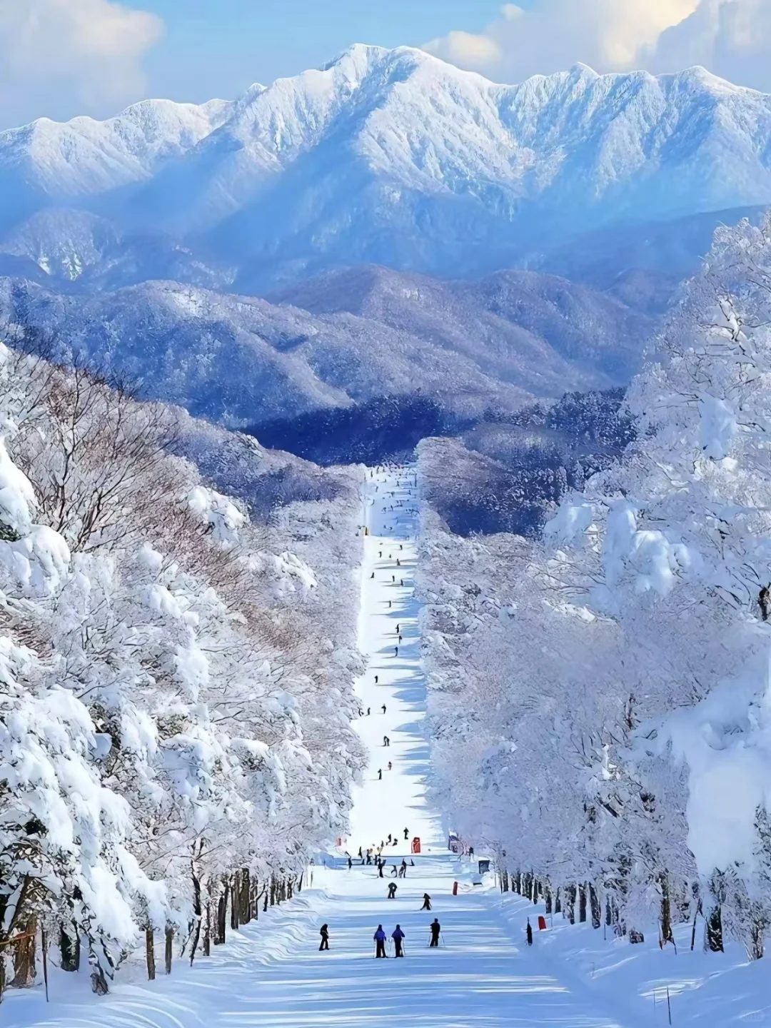 冬天的神农架真的美惨了啊