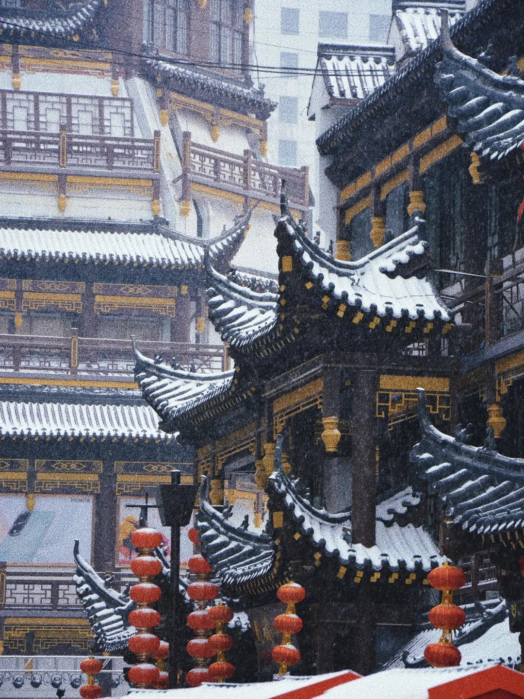 一起去打卡老舍笔下济南的冬天吧‼️