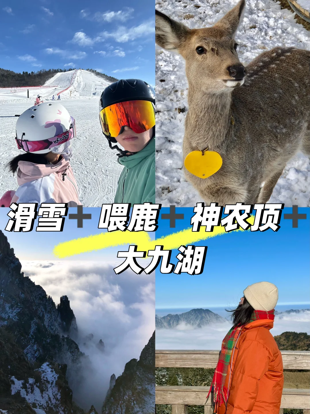 听劝去了神农架 美到失语❗️❗️❗️